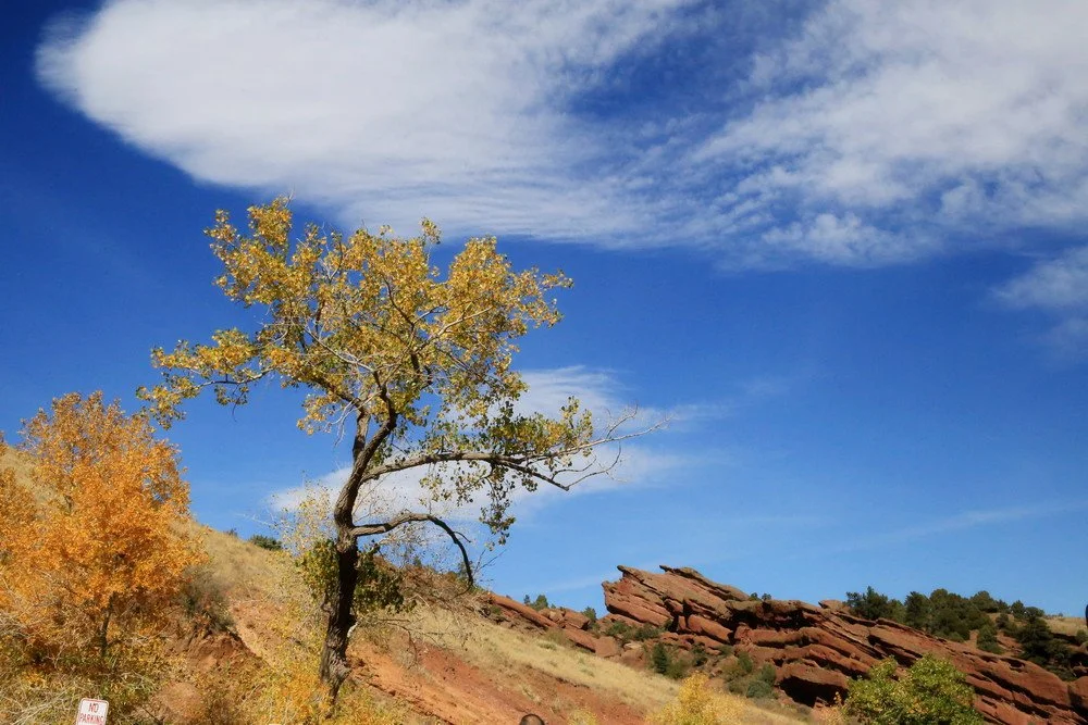 IMG_2121 - Copy - Copy.JPG