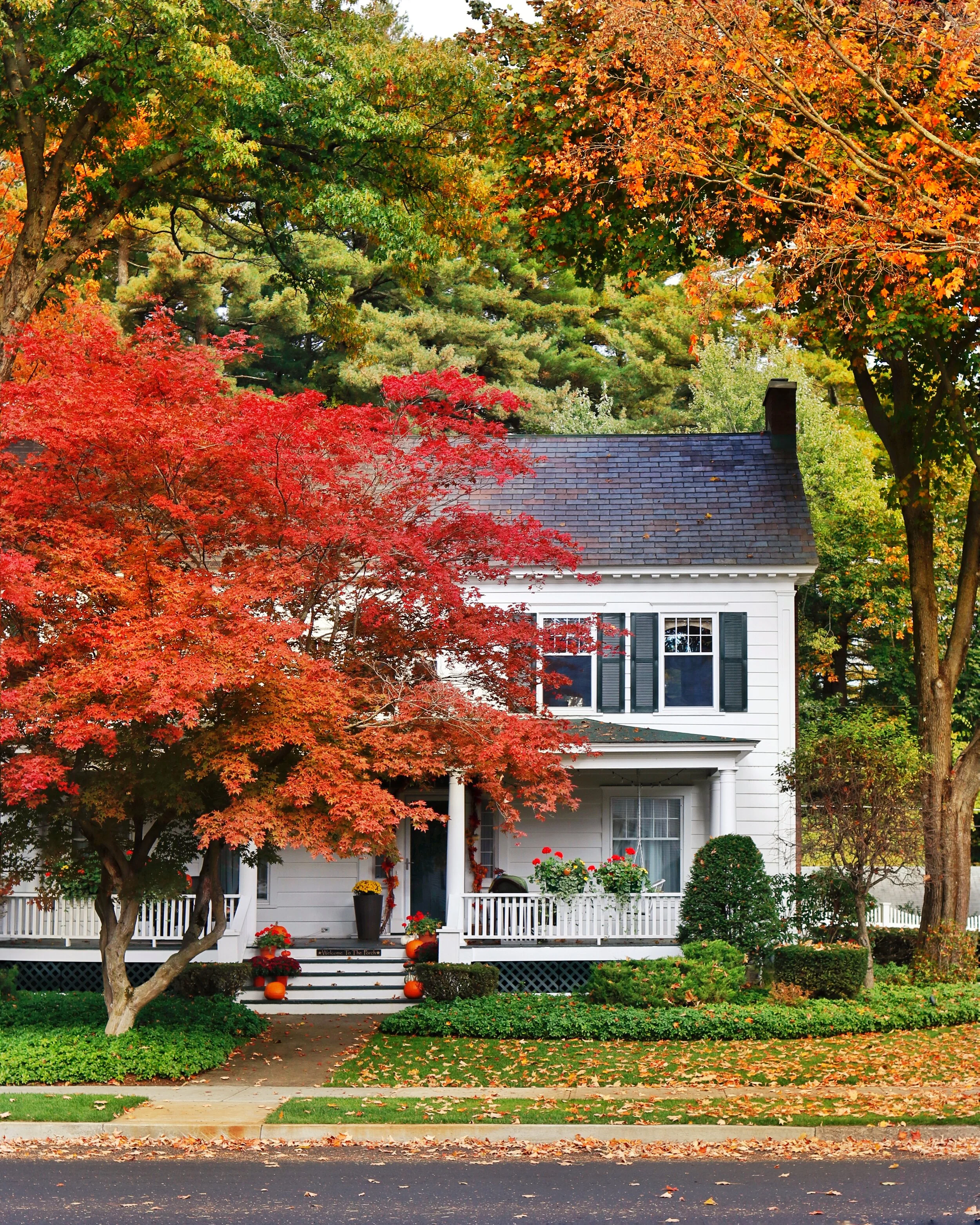 Things to Do — Blog — Glens Falls Living