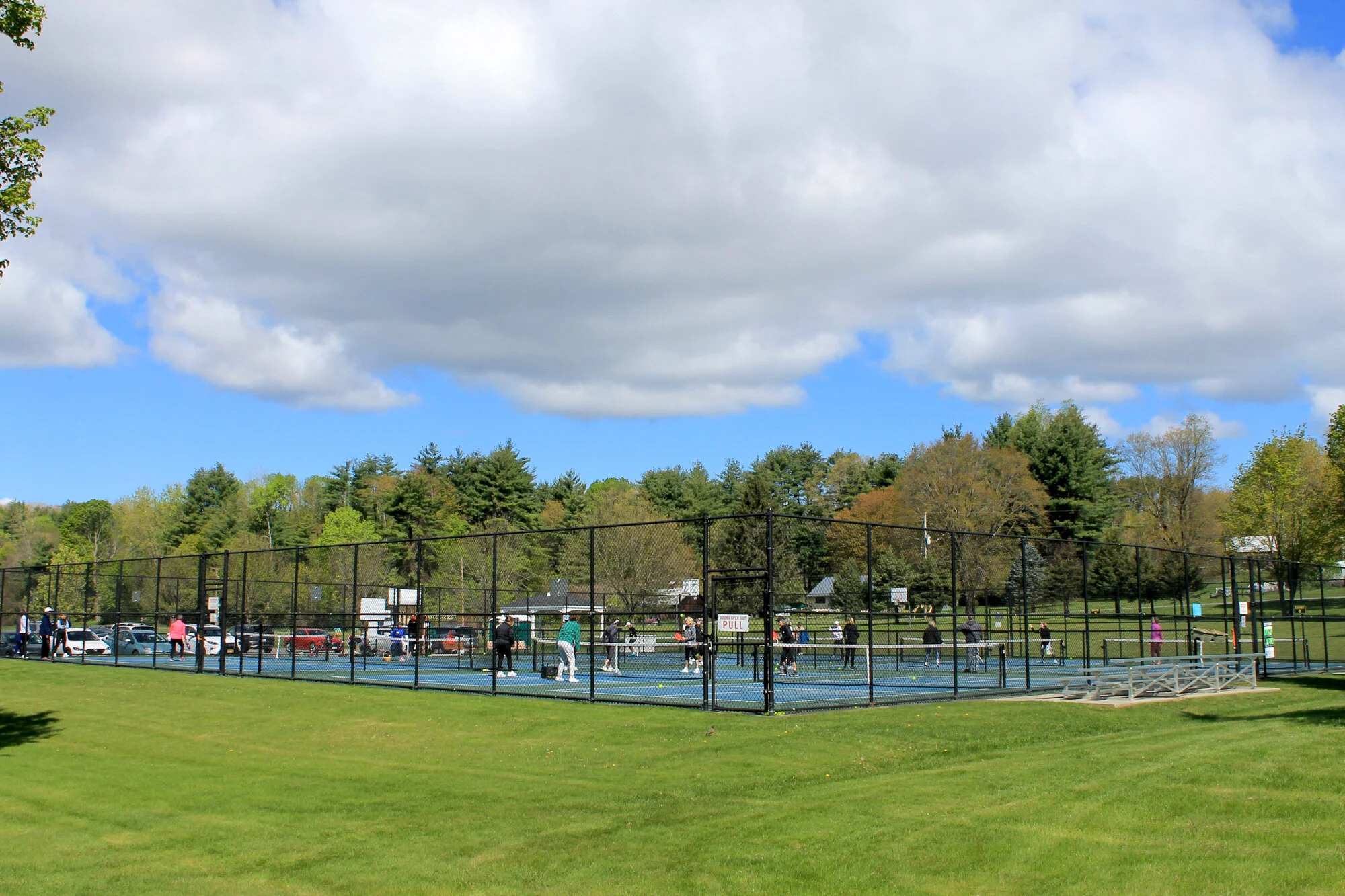 A Beginner's Guide to Pickleball — Glens Falls Living