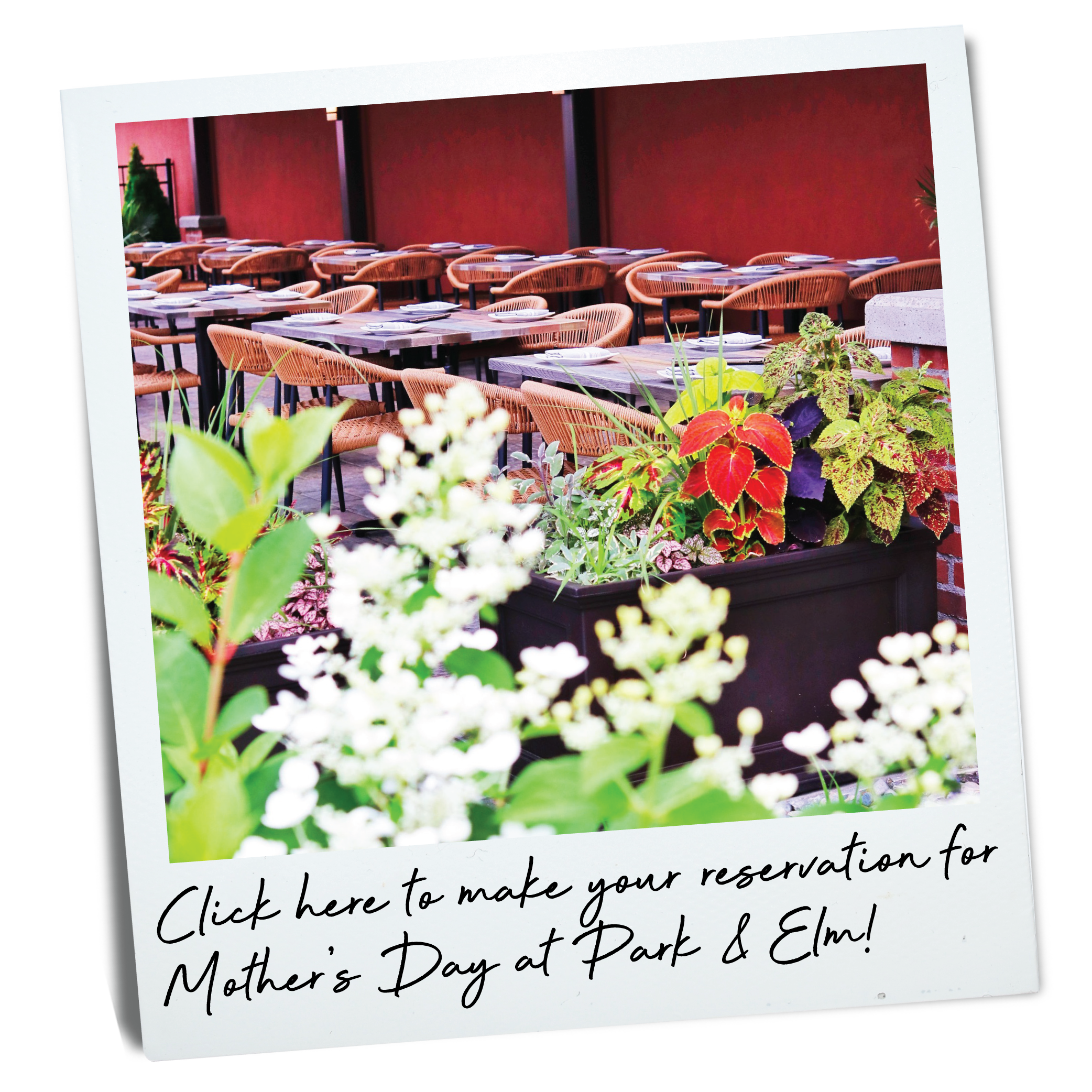 Park and Elm Mothers Day Ad-01.png