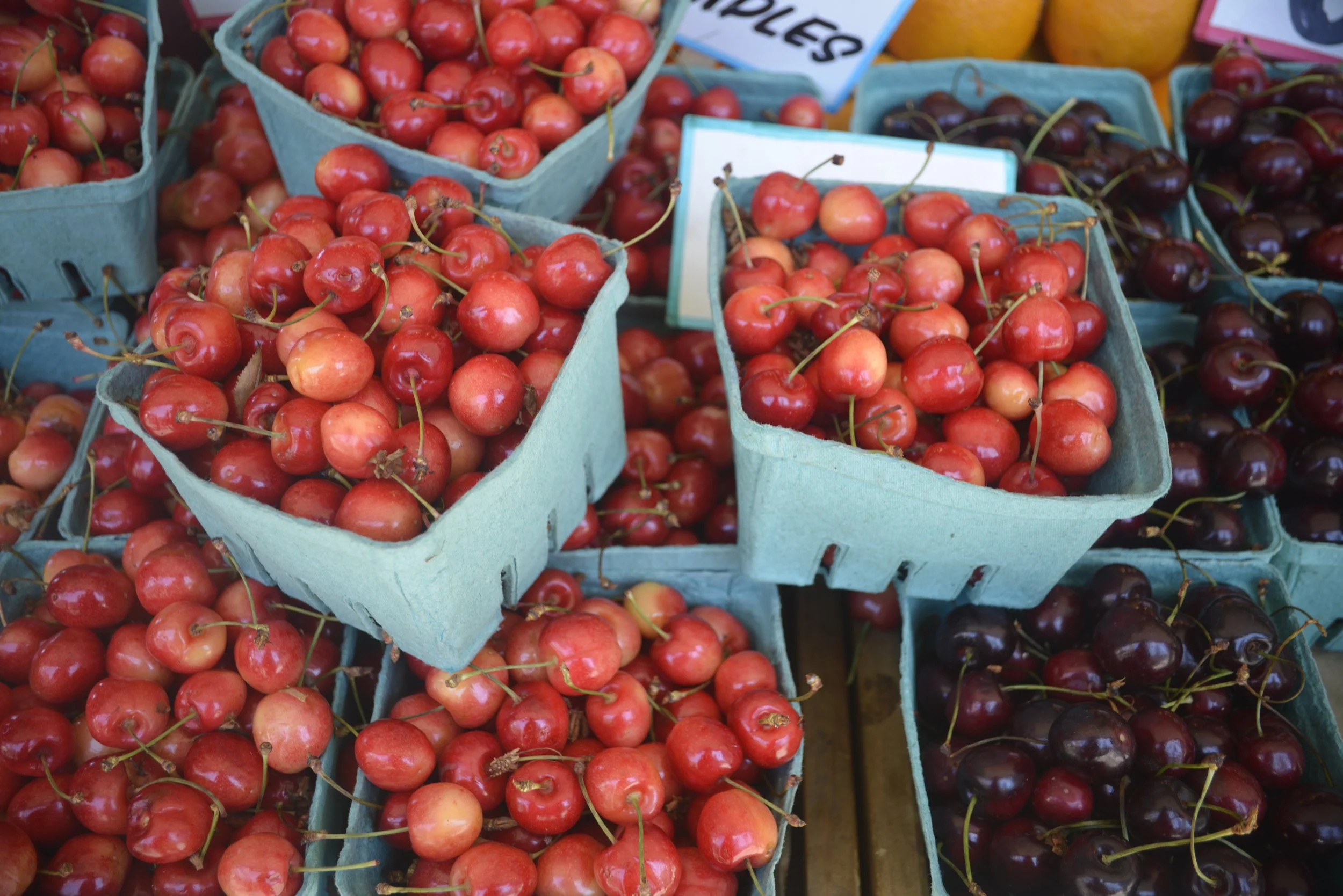 banner-17.jpg