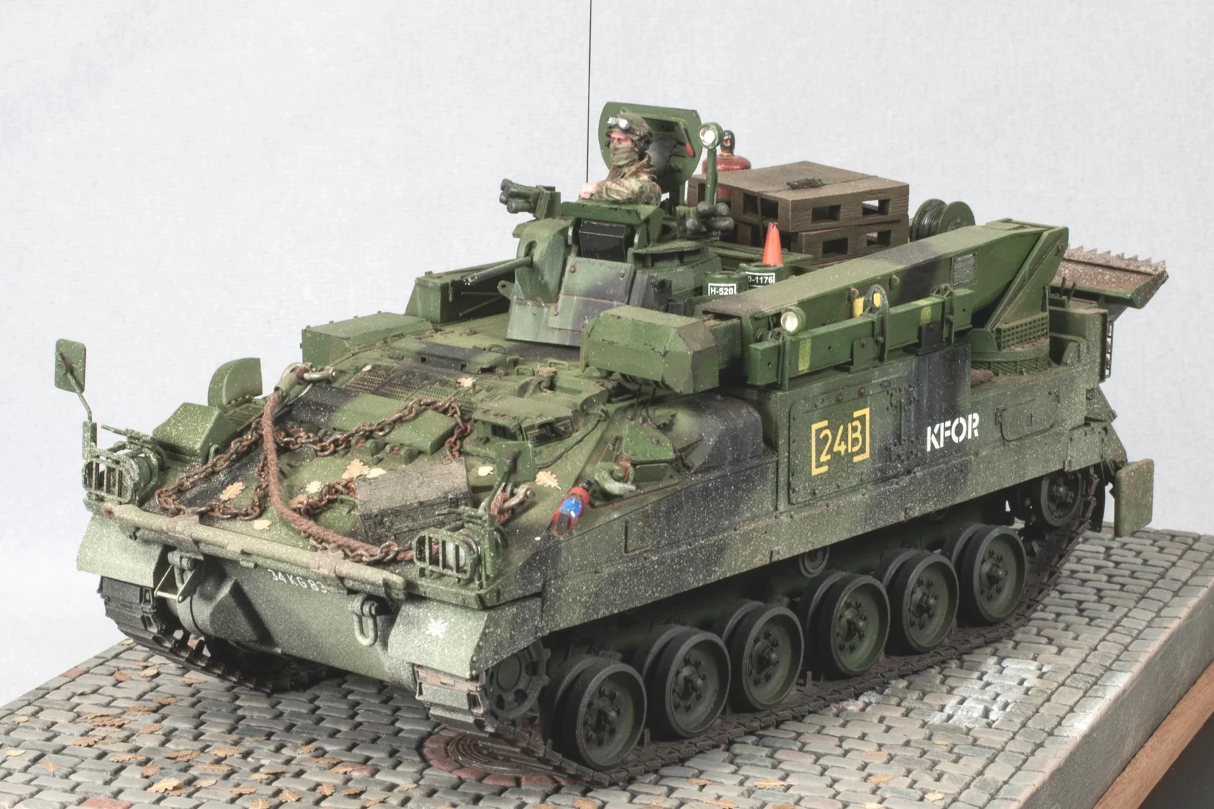 Warrior_5571.jpg