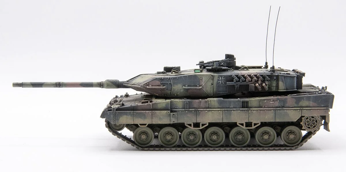 Tittle_Leopard ZA7_0054.jpg