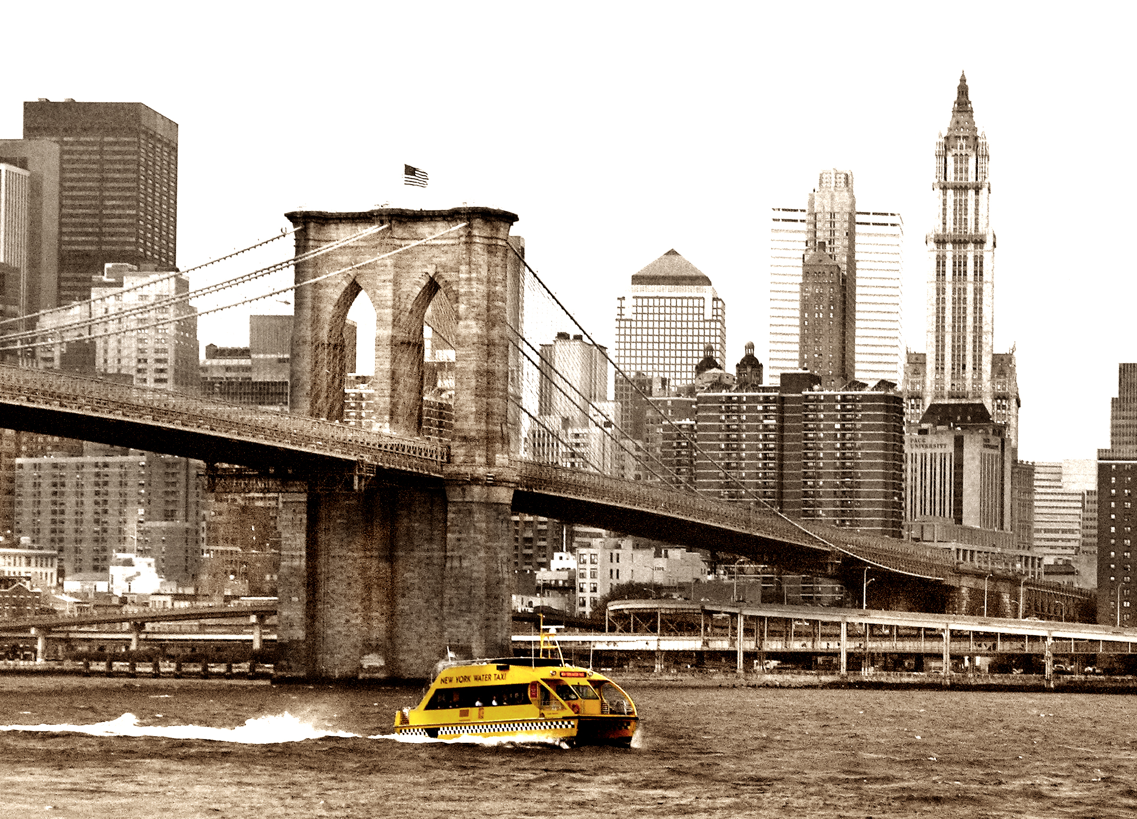 Water Taxi/Brooklyn Bridge; NYC