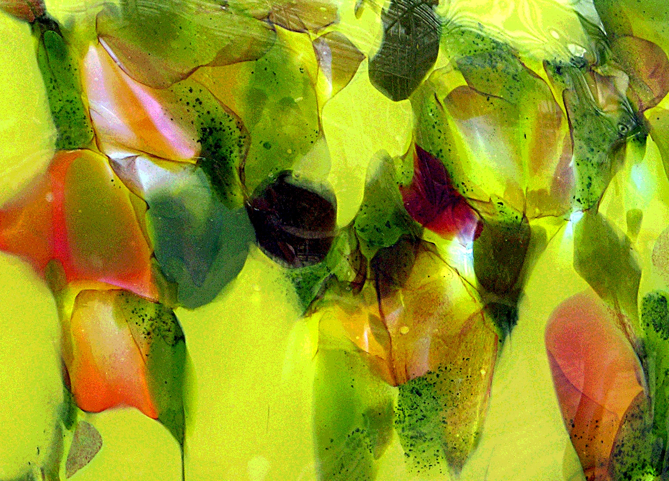  "Jewels"/ Chihuly CloseUp; NY Botanical Garden, NYC 