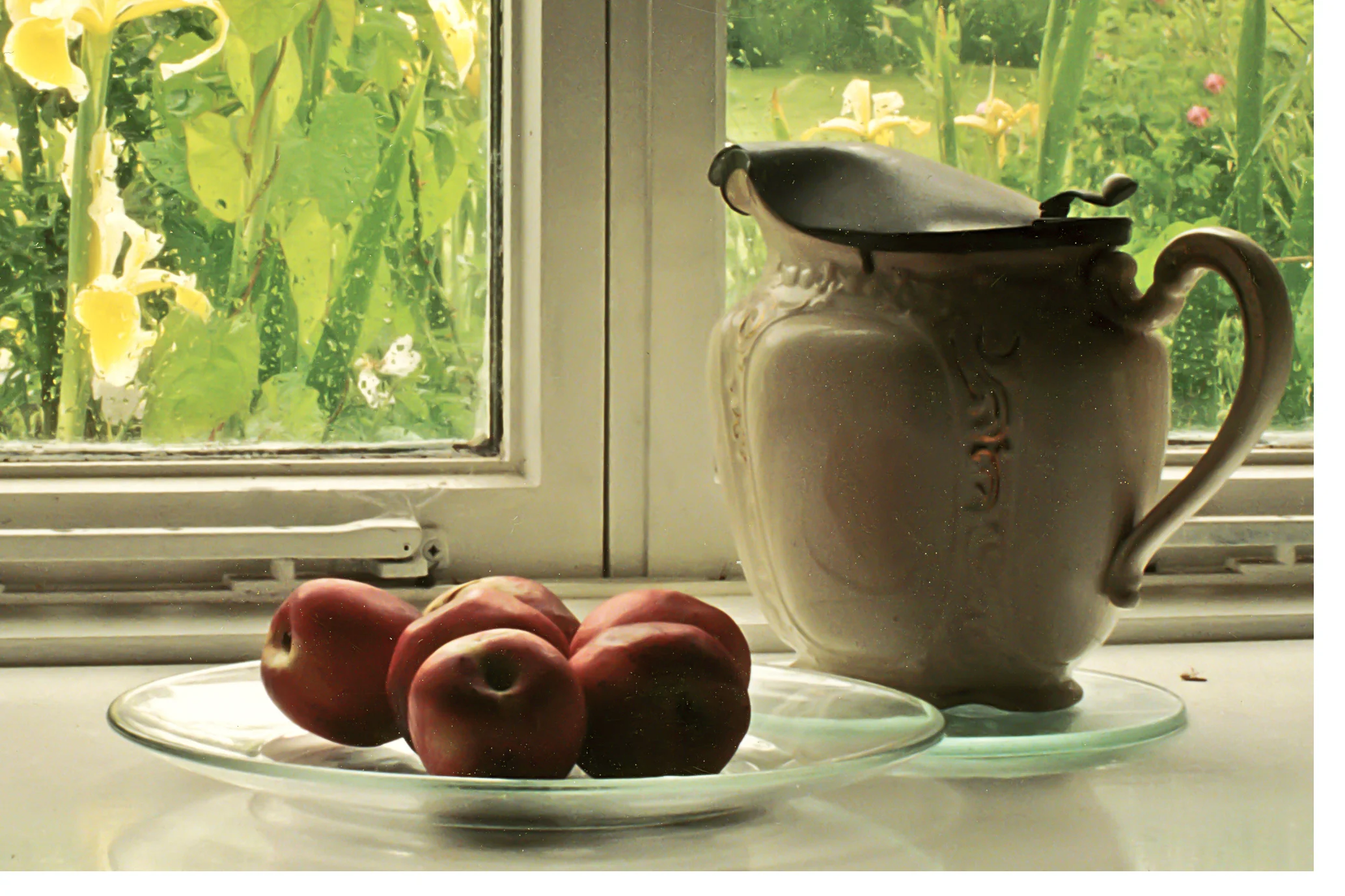 Pitcher and Apples; Westport, Ireland