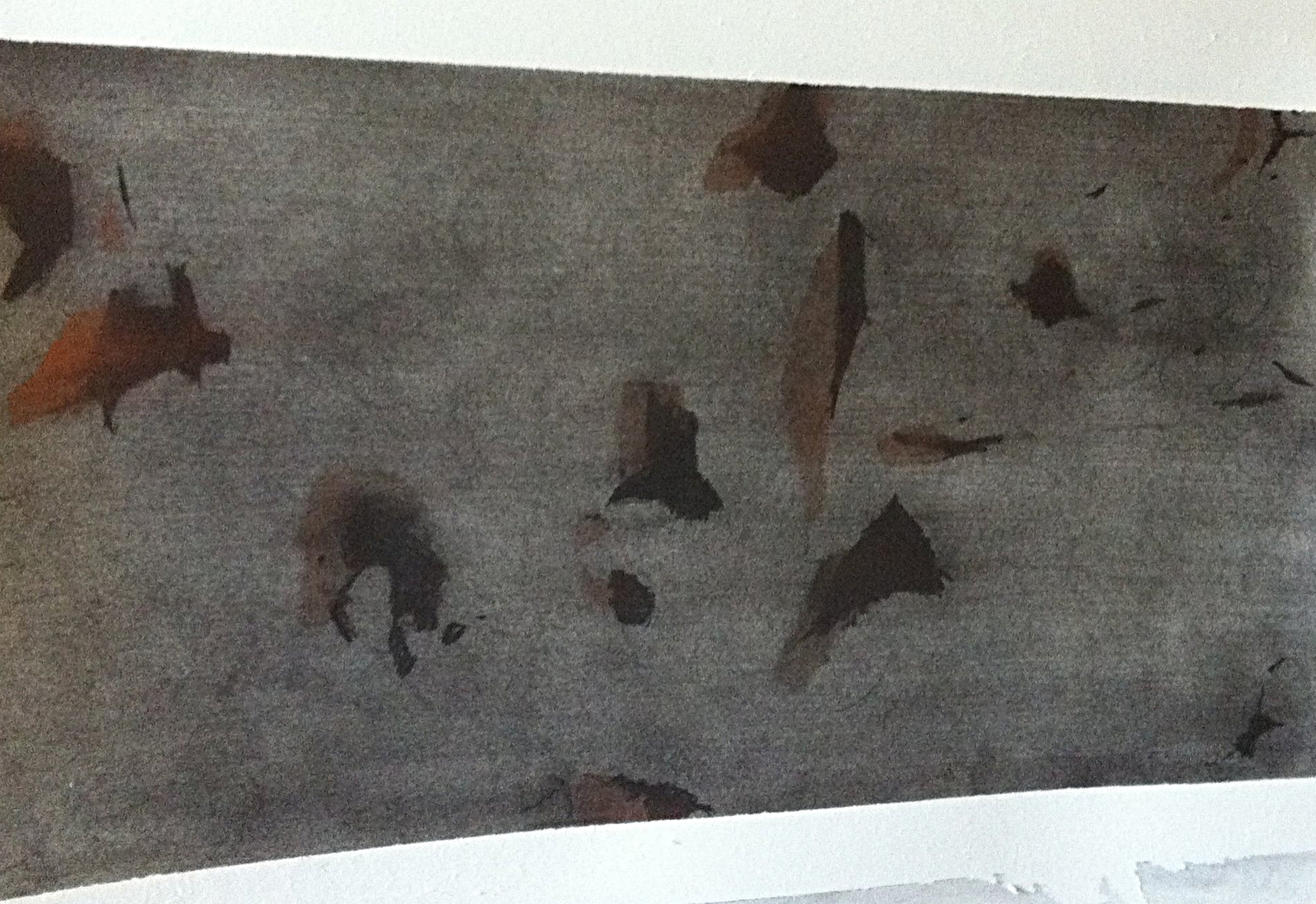 Drawing, for InTransit | 2014