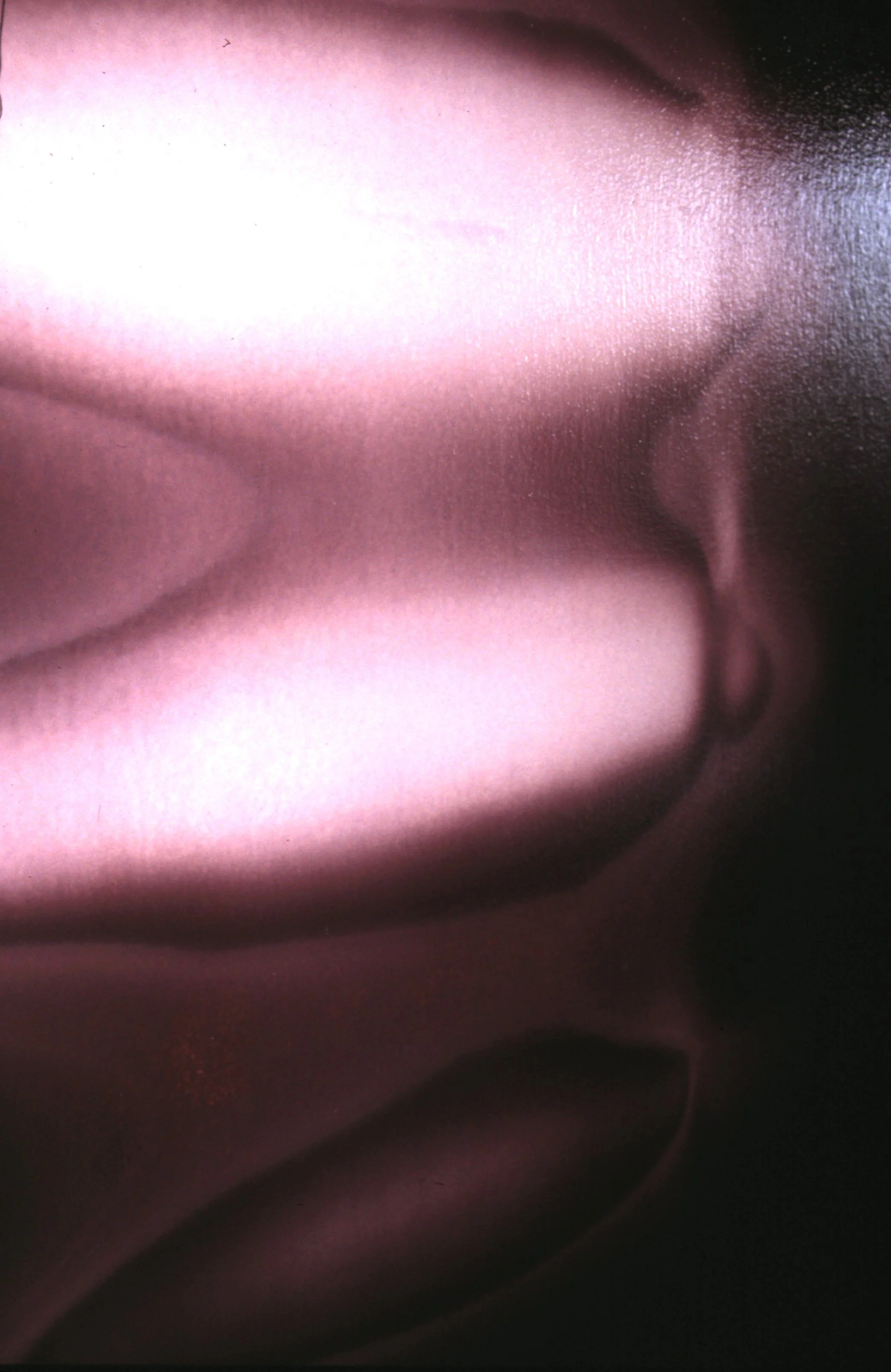 Sensitive details 3.jpg