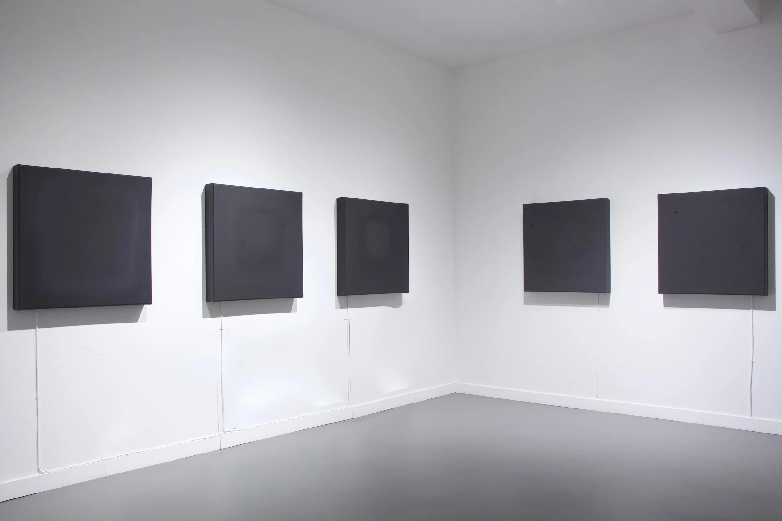 Sensitive Paintings 3, 2, 1, 4 and 5 | 2023