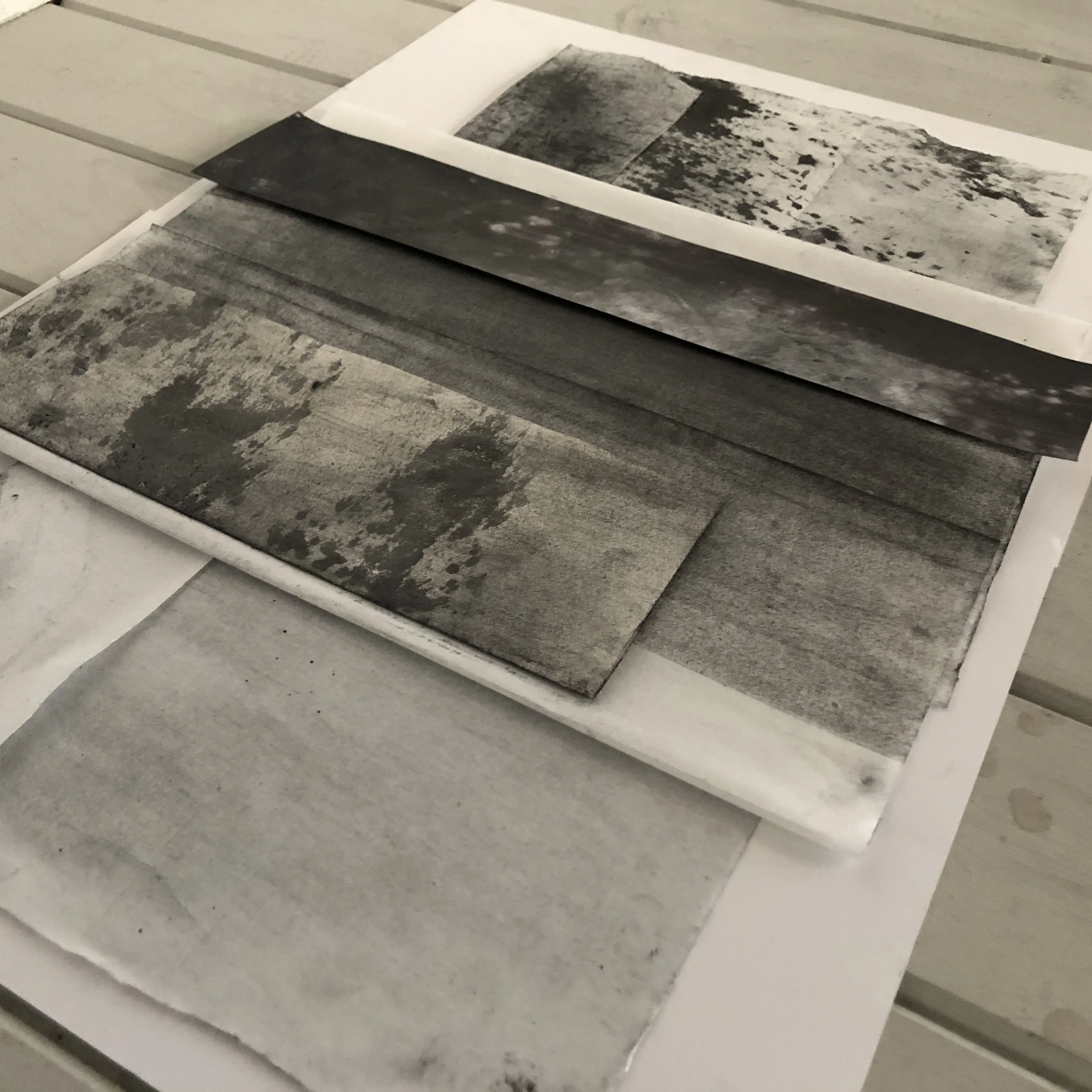 Navigator Series | 2022