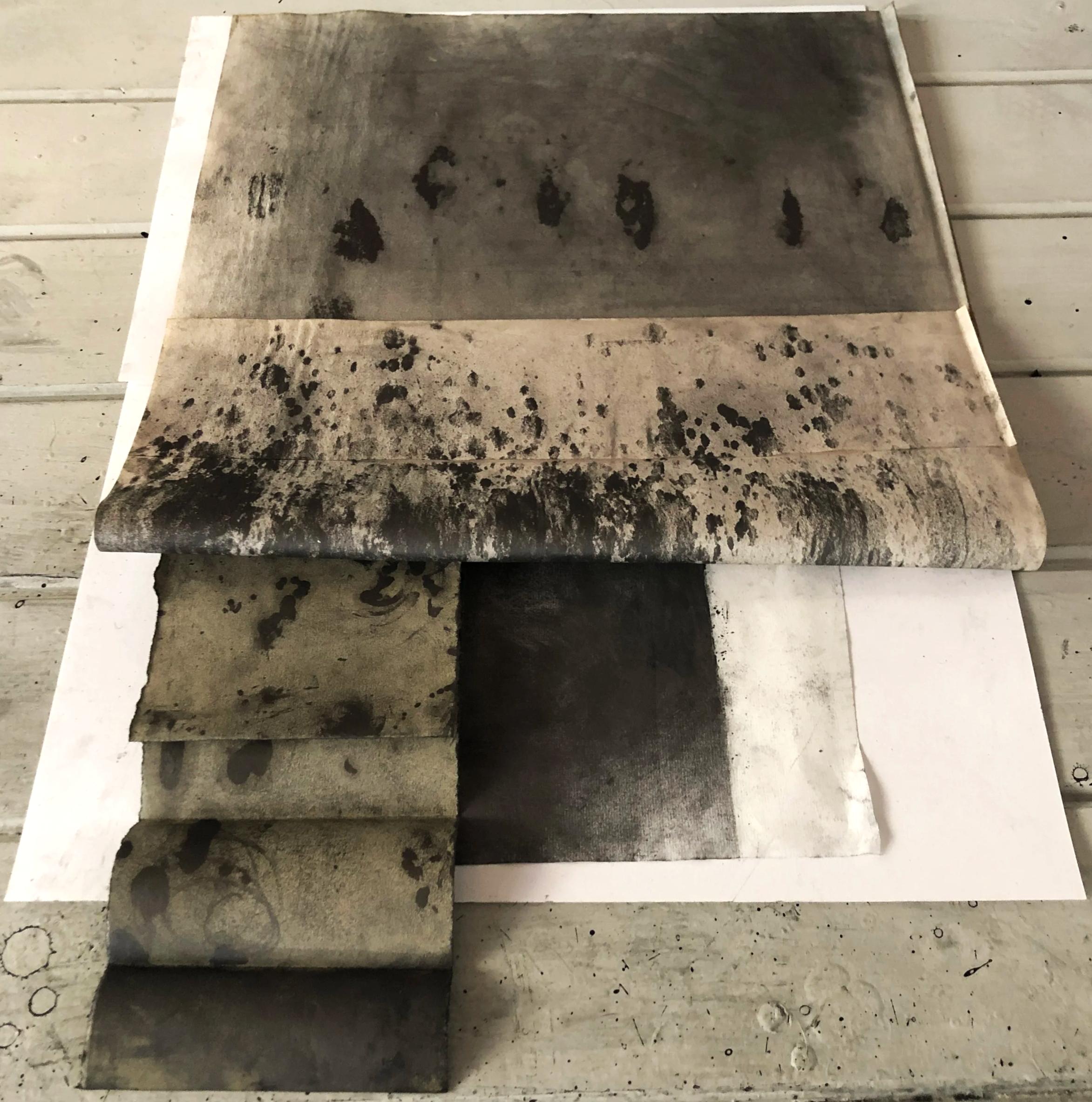 Navigator Series | 2022