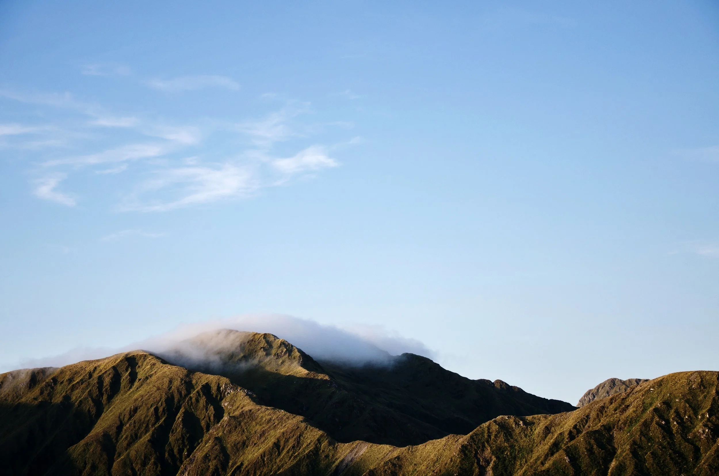 MAIN NEW ZEALAND PIC.jpeg