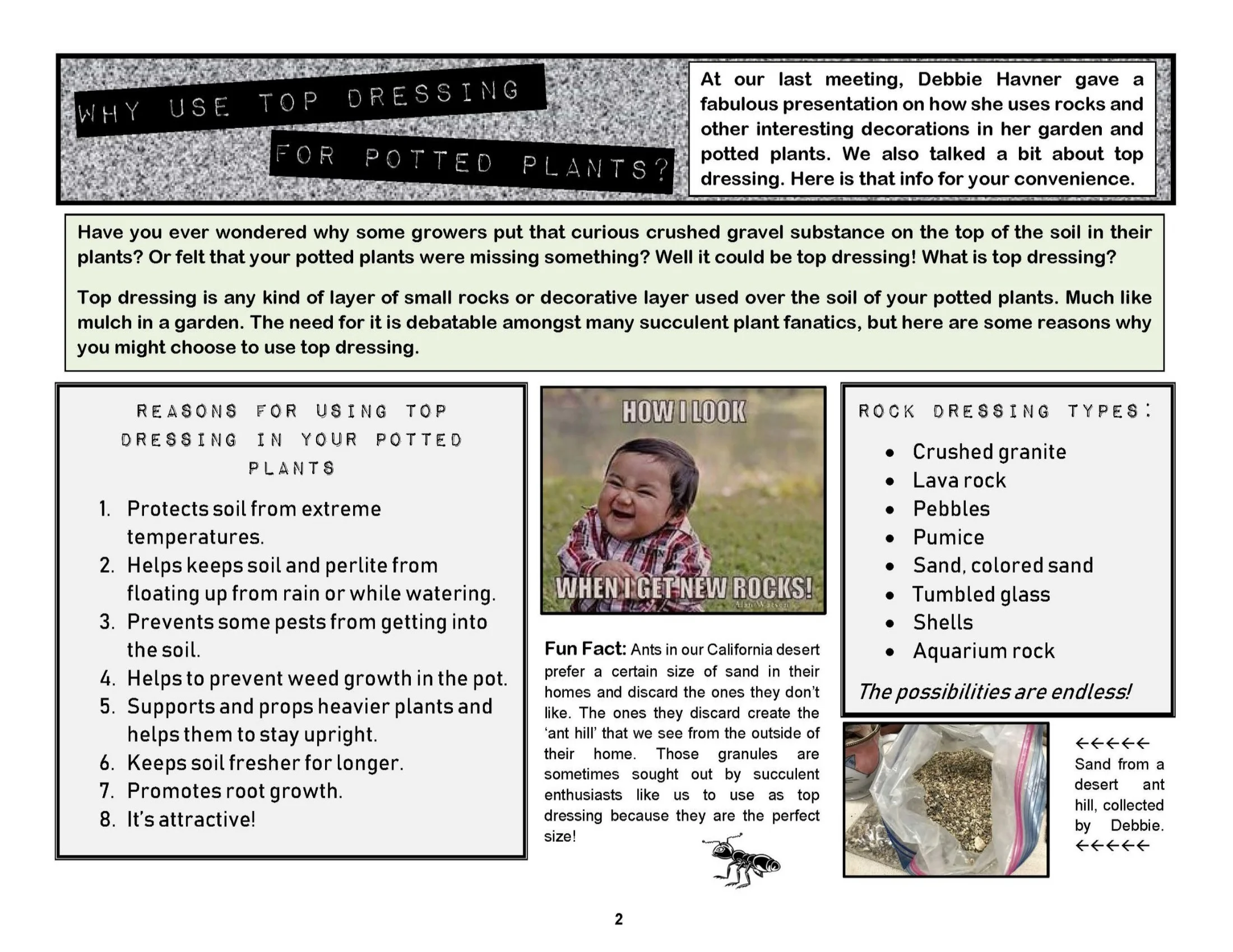 VSC-Newsletter-3-2018_Page_2.jpg