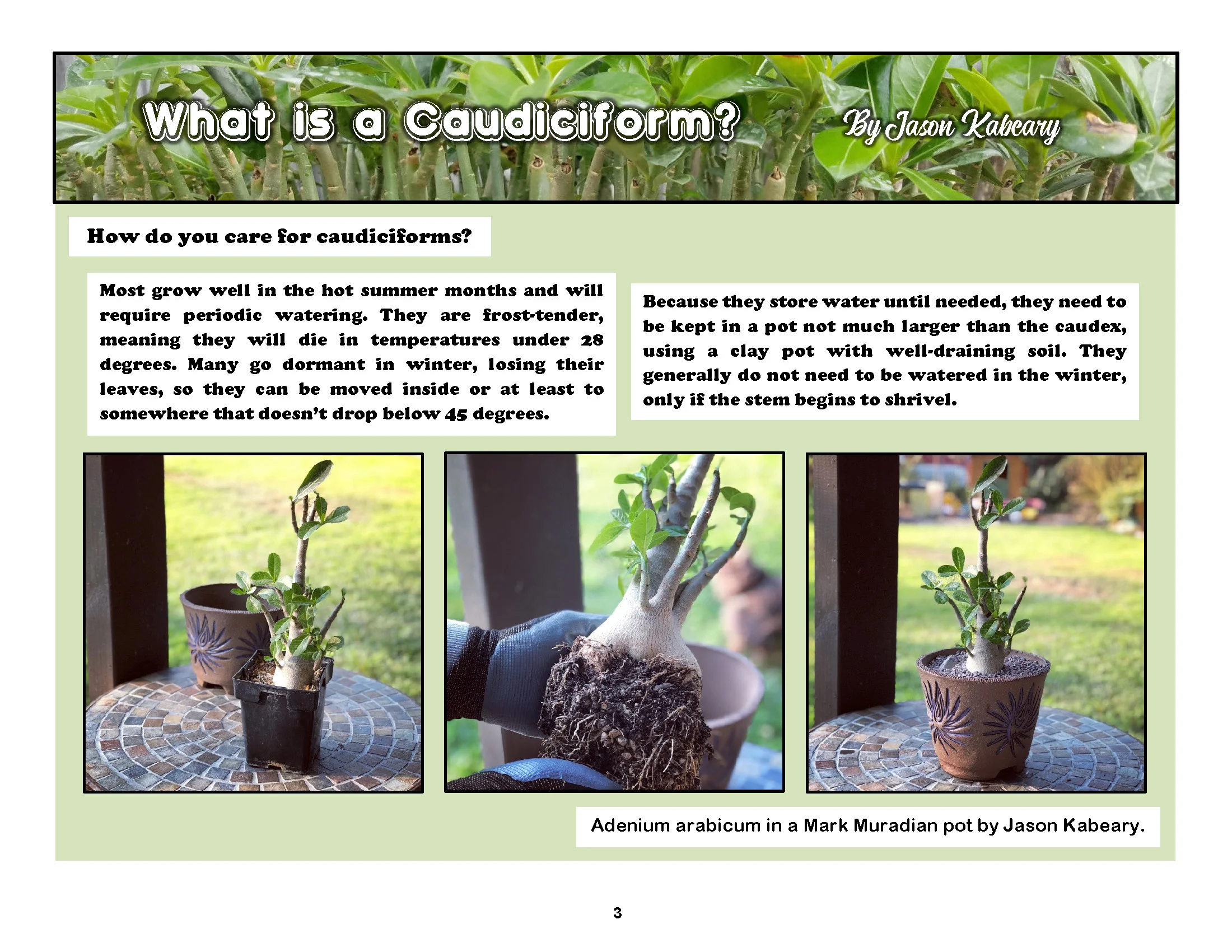 VSC-Newsletter-8-2018_Page_3.jpg