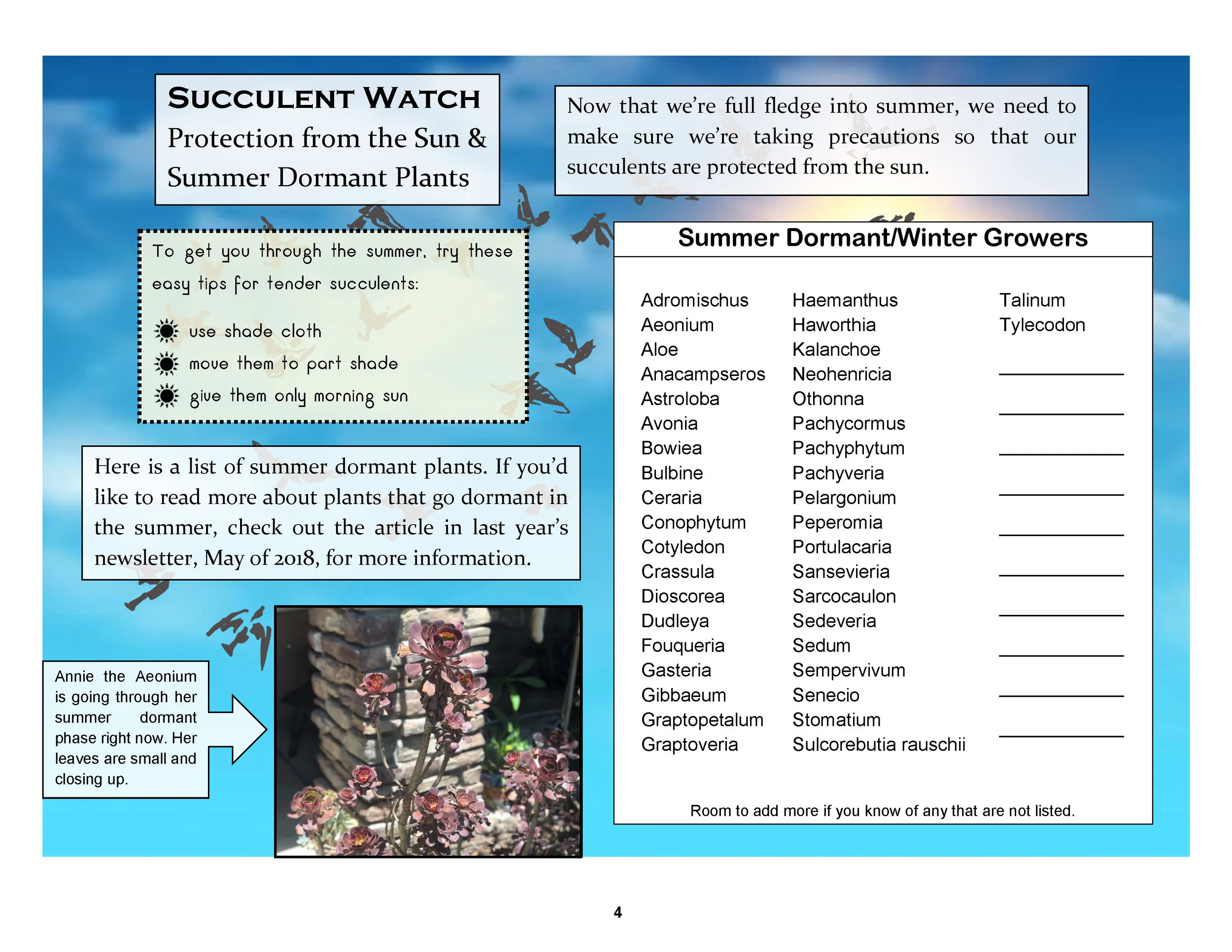 VSC-Newsletter-7-2019_Page_4.jpg