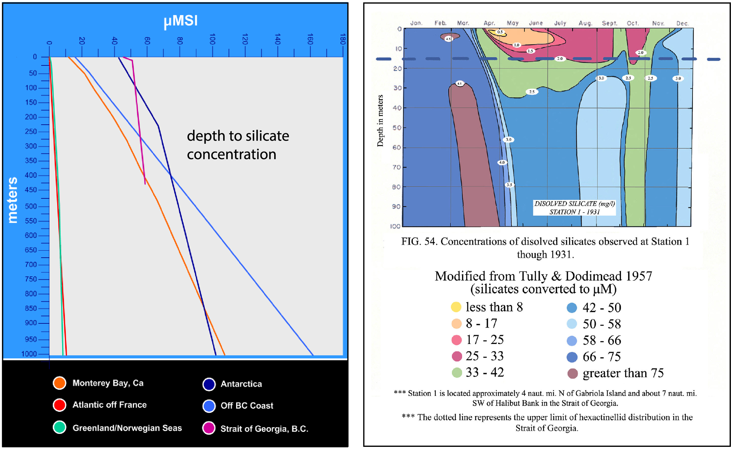 Charts showing silicate concentrations in various seas and depths. The shallowest record (2m depth) is in Seymour Narrows where high silicate levels occur throughout the water column due to vertical mixing (Thomson et al. 1980 & unpublished info 2003. The highest silica concentration, near the surface, is in the Strait of Georgia (magenta line).