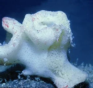 P3.jpg