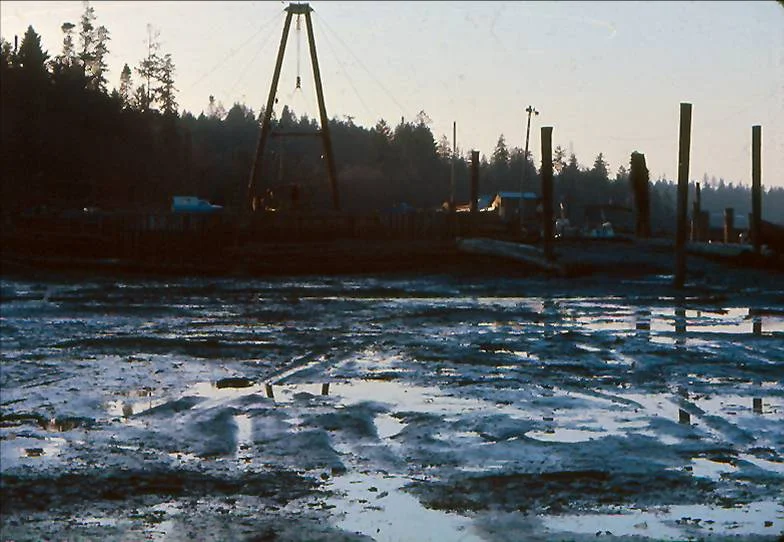 High suspended sediment may also be the result of stirring up the bottom by log dumps removal of cover by clear cutting exposure of soil by development or loosening soil such as by agriculture.