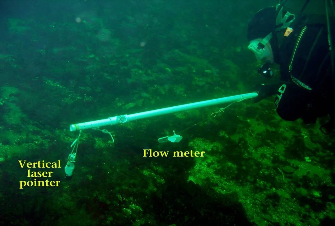 slide 20.jpg