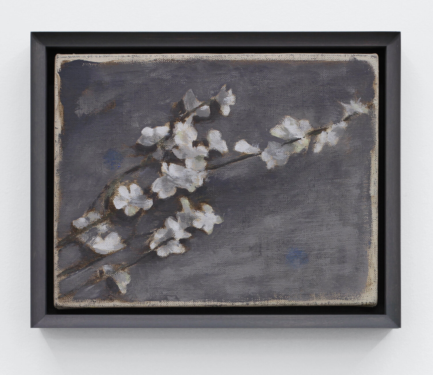  Flowers (Studio Floor)  2018  Distemper on canvas  7 x 9 inches  (17.78 x 22.86 cm)     