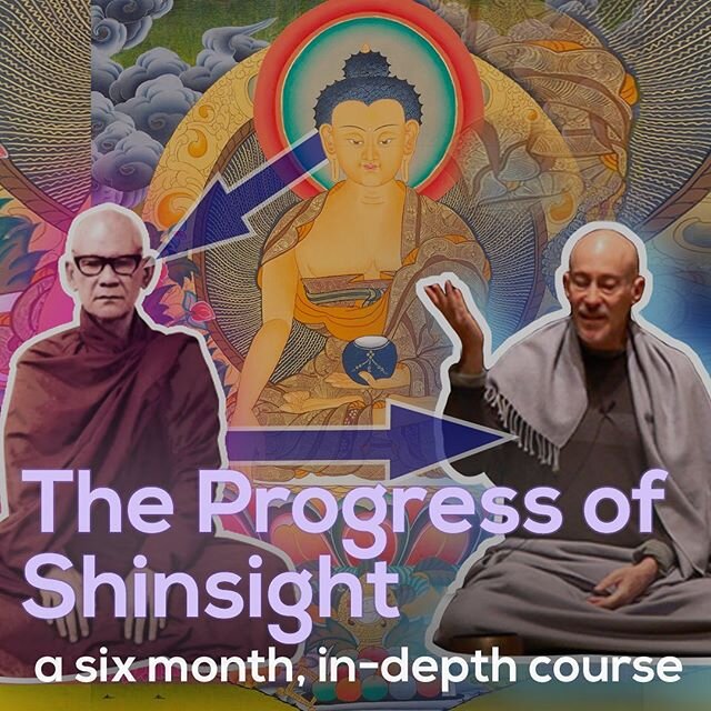 We&rsquo;re launching two new sections of our Progress of Shinsight course!
.
In this six-month course Janusz will walk students through practices from Shinzen Young&rsquo;s system that facilitate the experiences outlined in the Progress of Insight, 