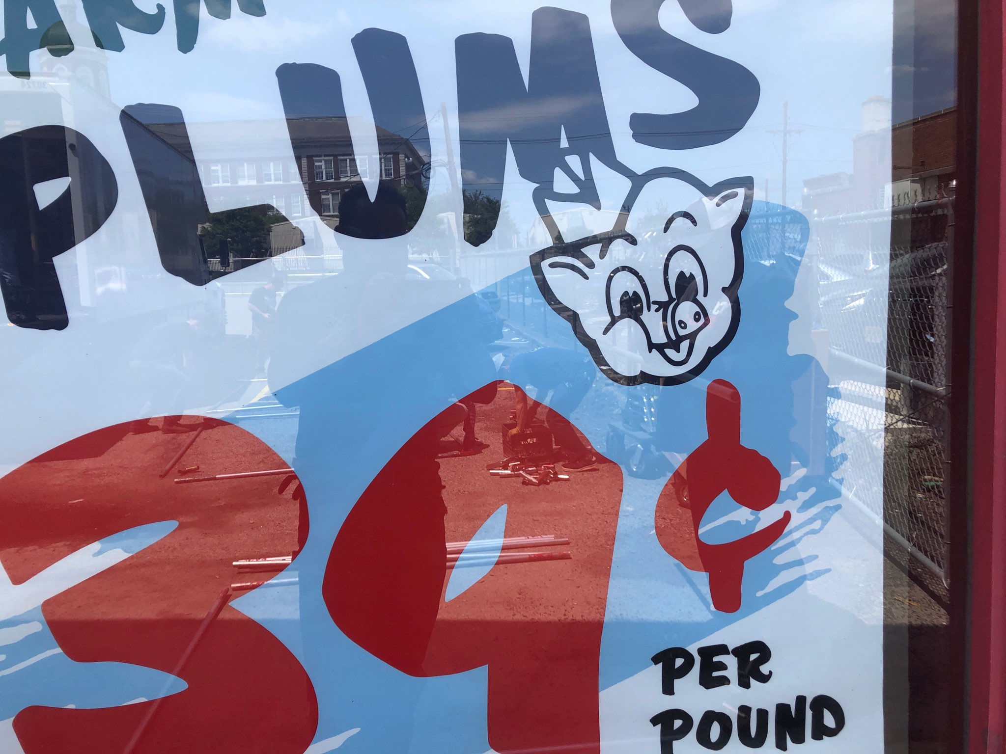 106PigglyWindows6.JPG
