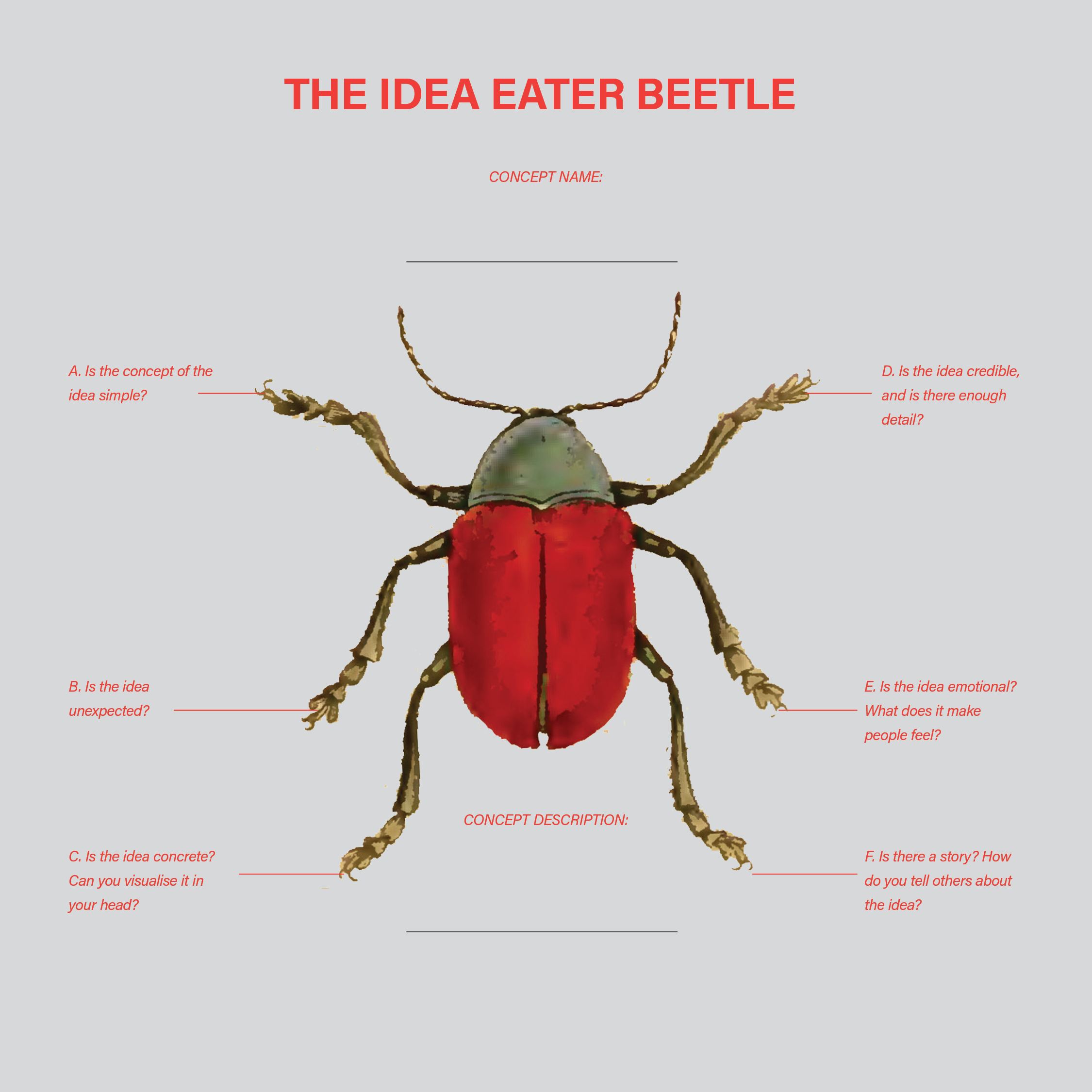 IDEABEETLE2.png