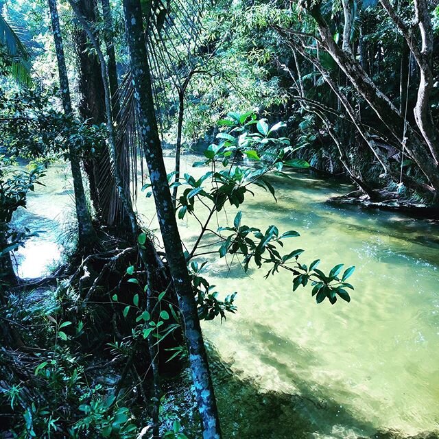 Early morning crispy dips in this beauty 💦💚 not sure if I&rsquo;m ready for &lsquo;normality&rsquo; to resume. But I know for sure how important it is to be submerged in nature, to be still, absorbing her magical energy is incredibly uplifting. Mot