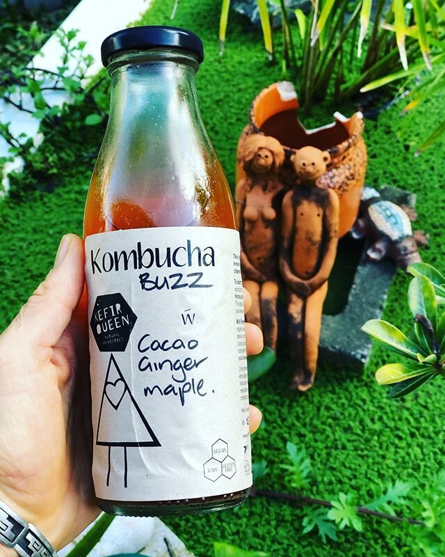 New Kombucha creation - even converted a non kombucha drinking friend with this one 😜 chocolate undertones ummmmm um 🥳 just about to deliver these babies to @scomazzon_farming along with mountains of Spiced Garden &amp; Preserved Lemon Pesto, Haris