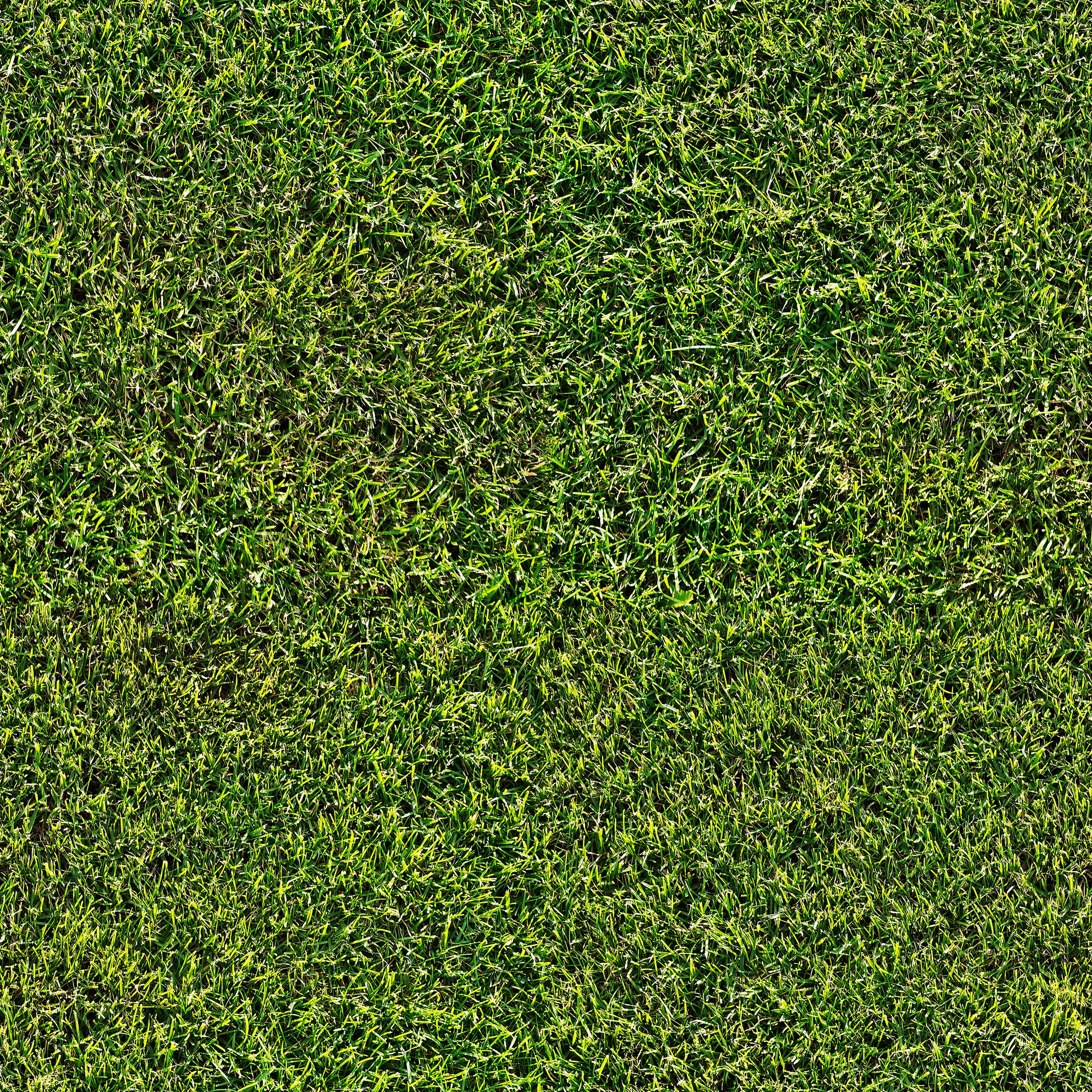 wildtextures_short-grass-field-seamless-texture.jpg