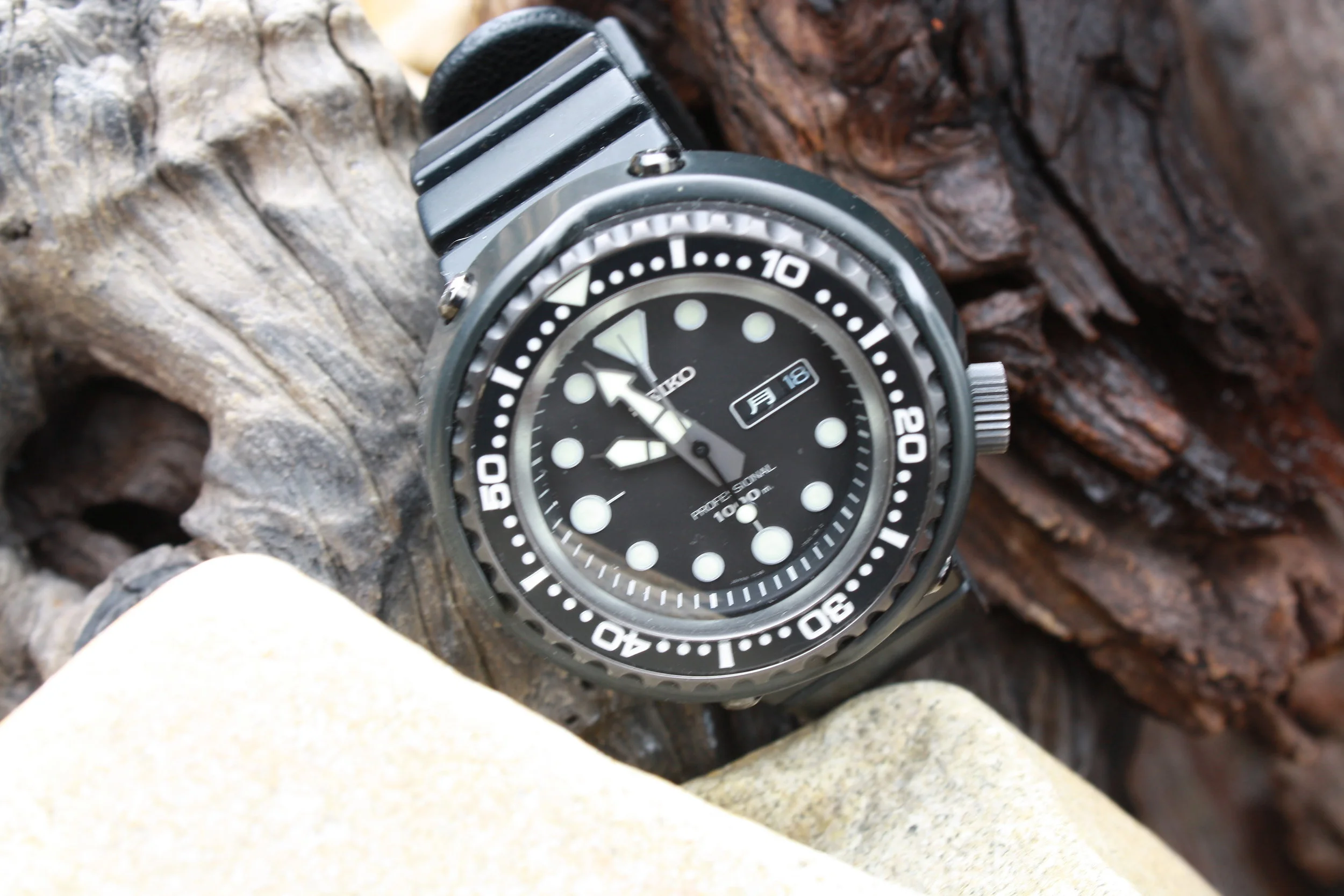 Seiko SBBN011 "Darth Tuna" 1000m diver, November 2005