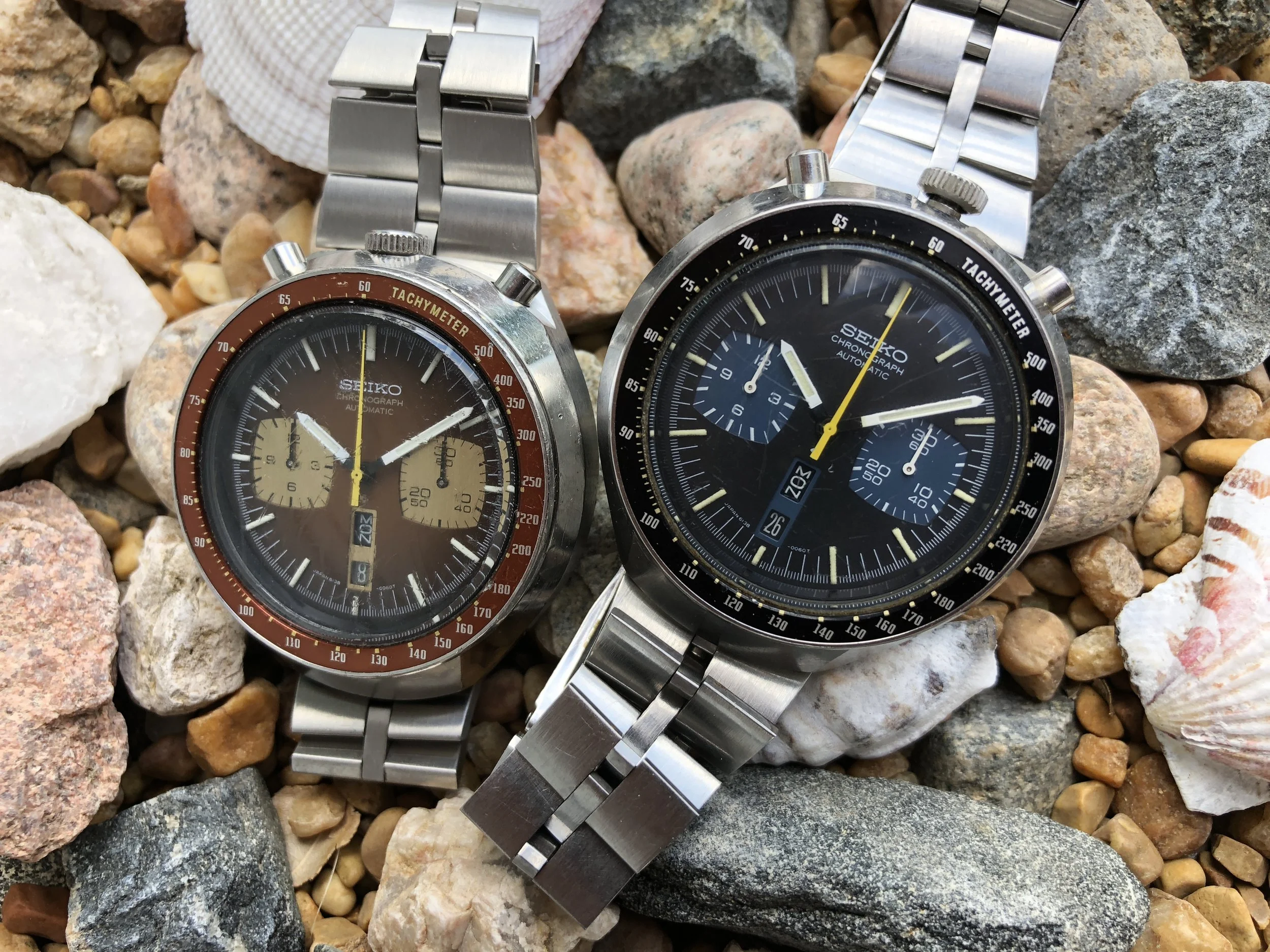 Brown Bullhead for Jonathan Skipper