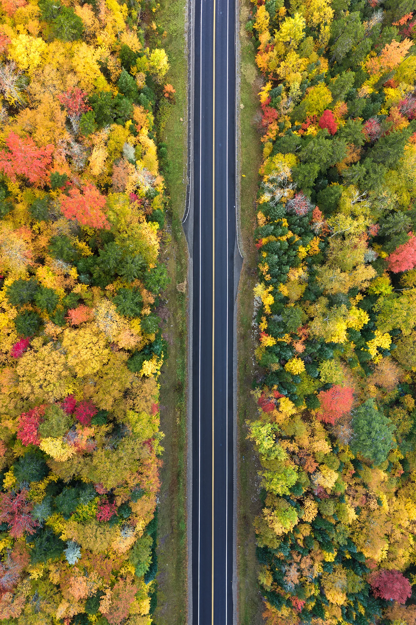 FallStraightRoad.jpg