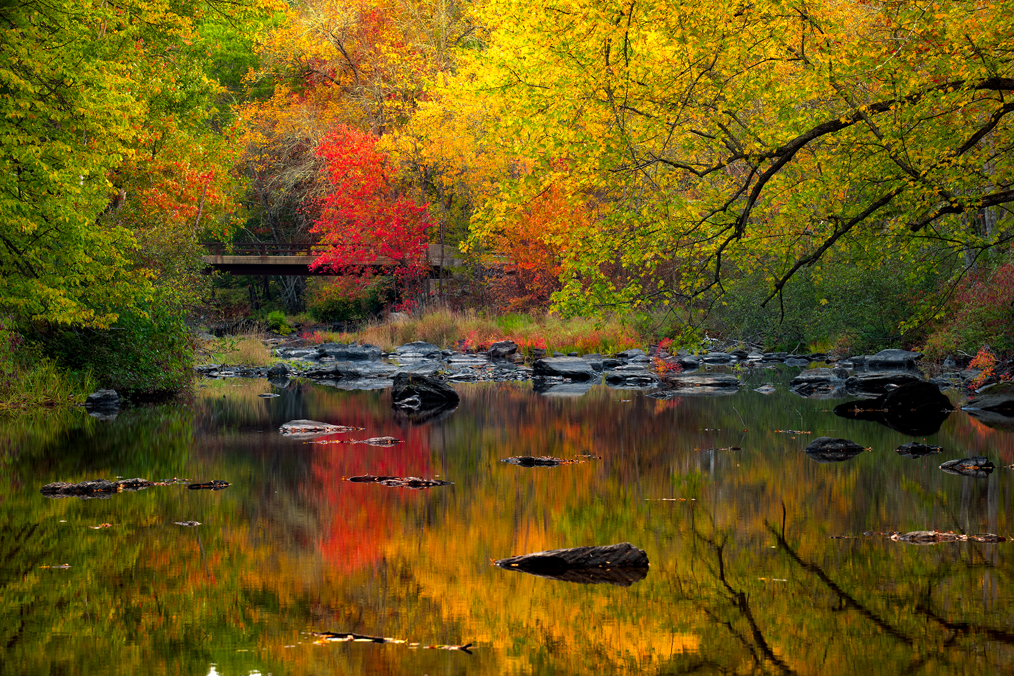 PaperMillCreek.jpg