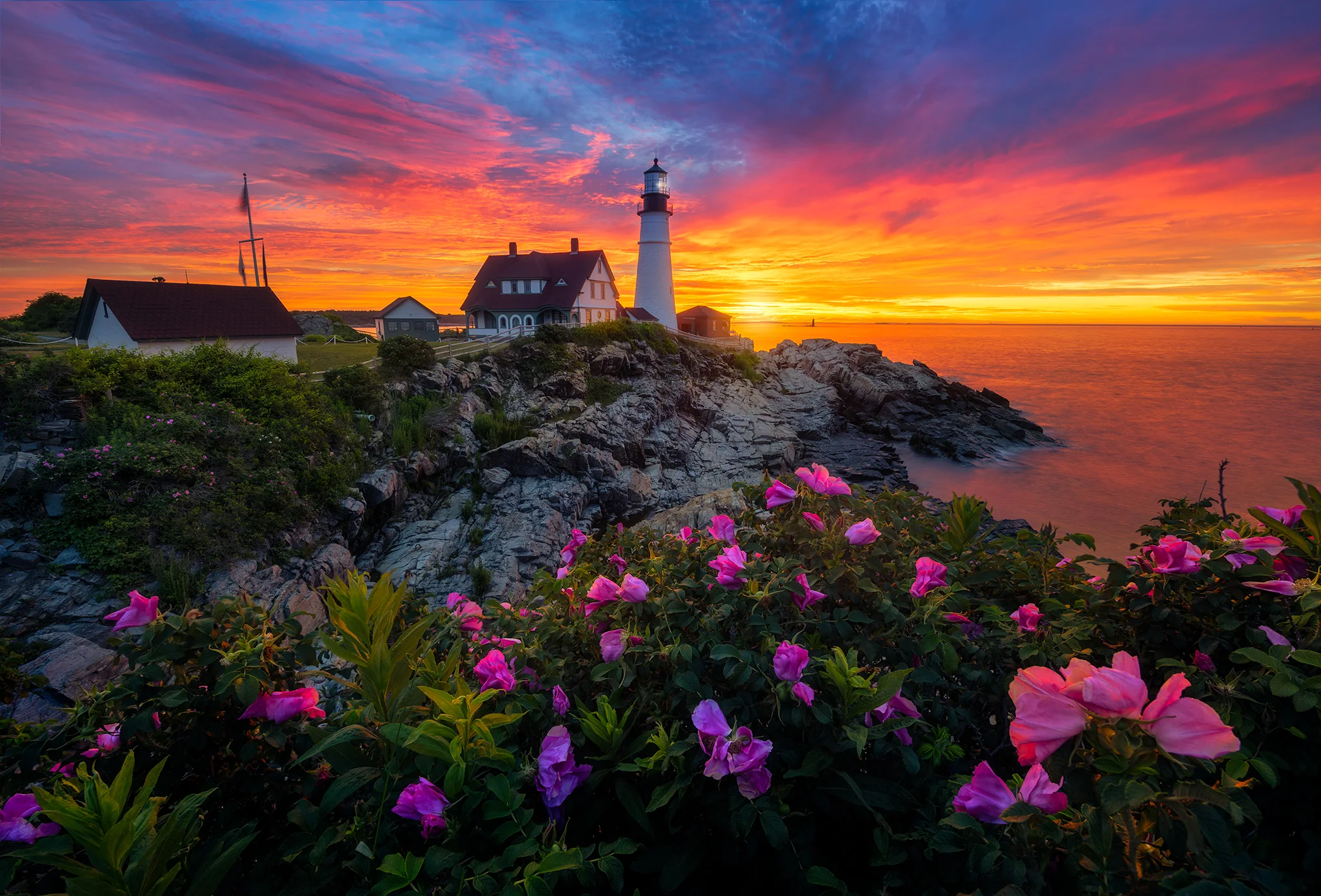 PHLFlowers.jpg