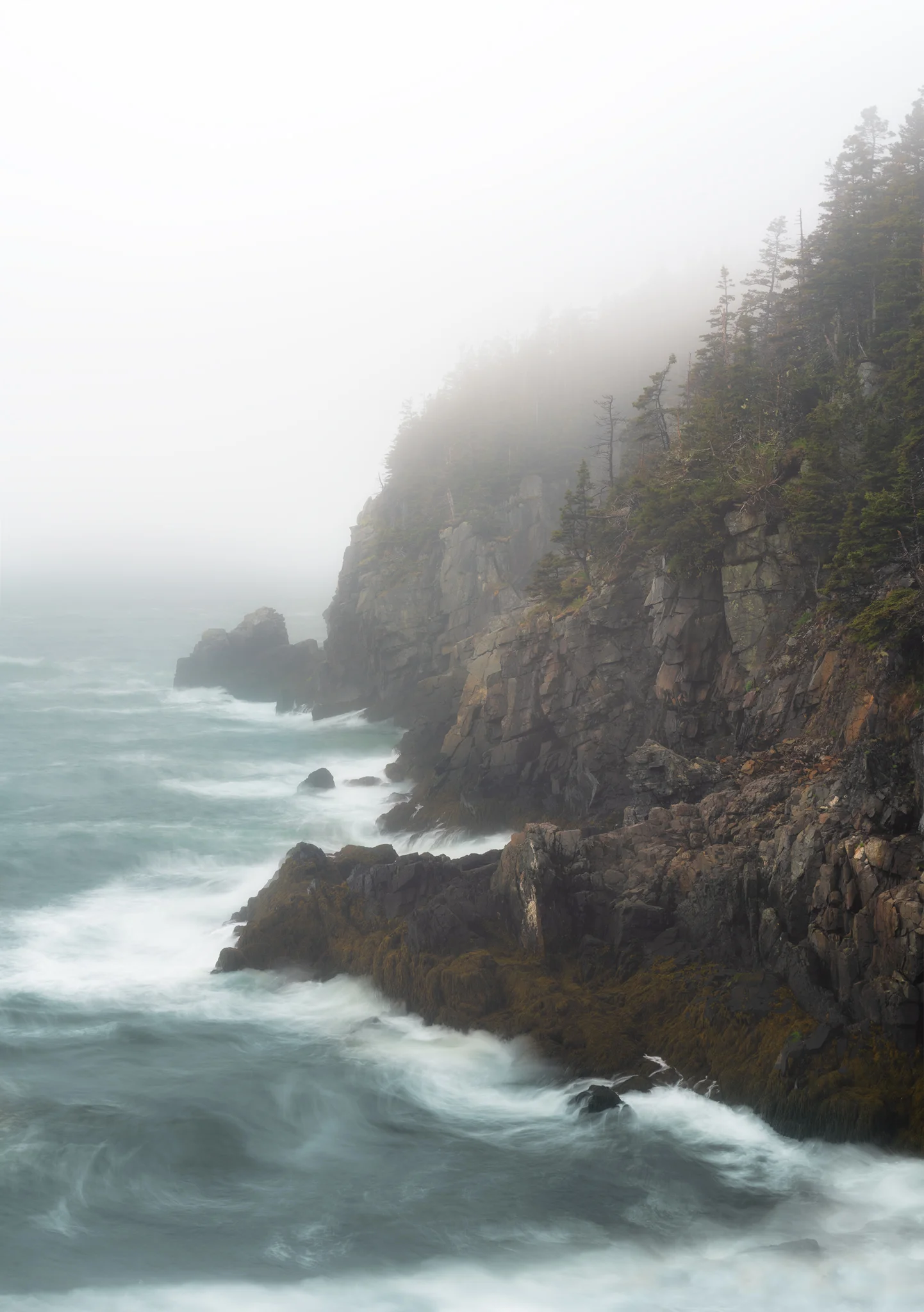 QuoddyCliffsFog.jpg