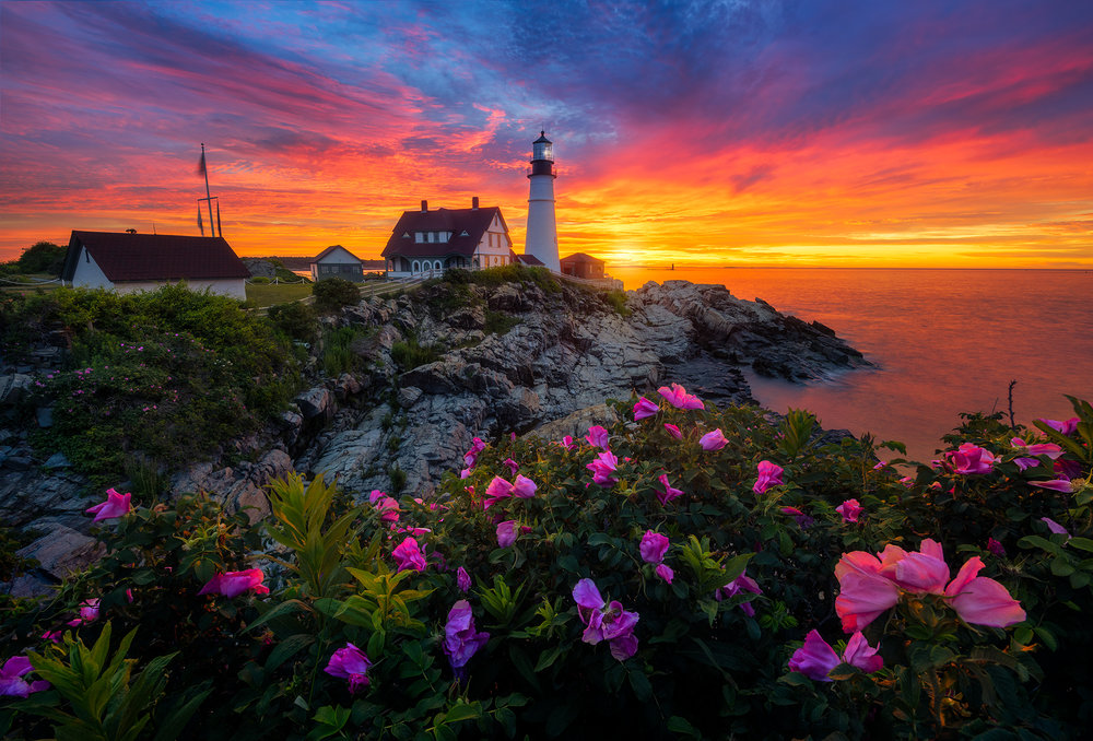 PHLFlowers.jpg