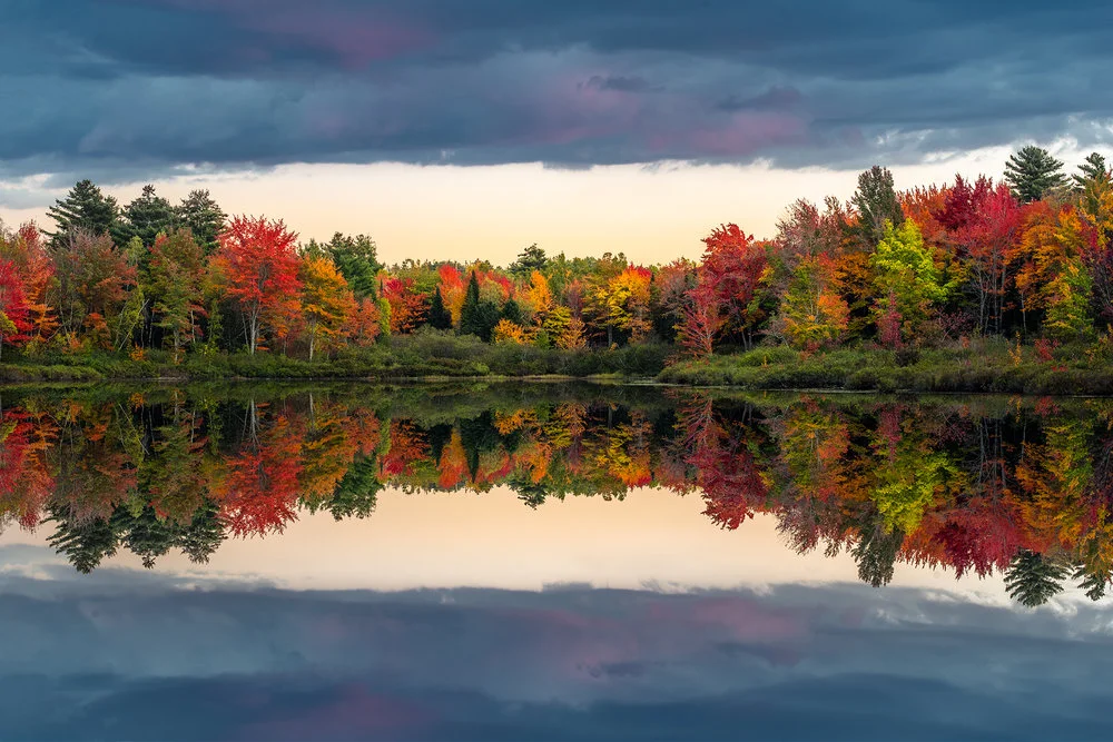 BridgeSunsetFoliage.jpg