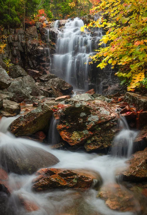 hadlockfall.jpg
