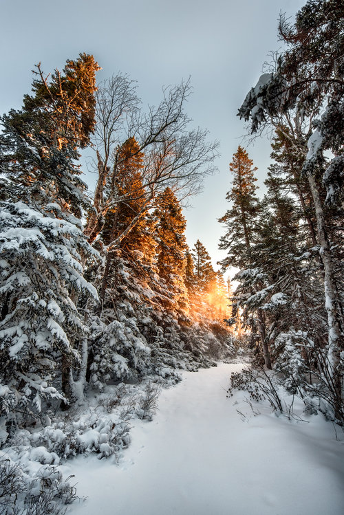 Wonderland+Sunrise+Snow.jpg