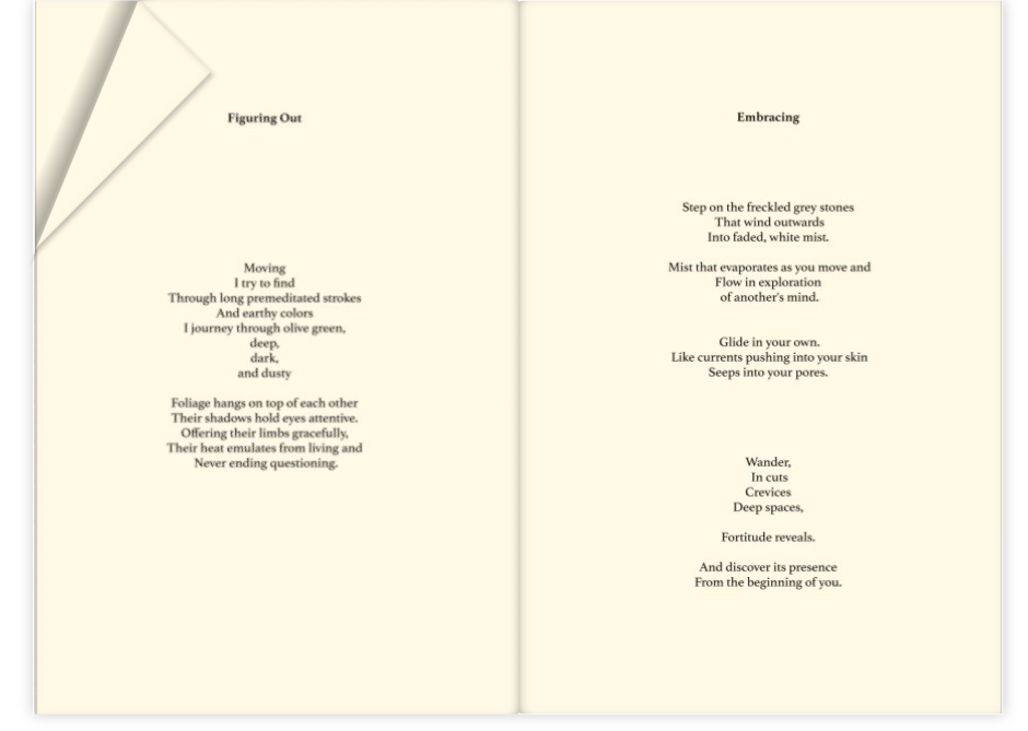 Screen Shot 2017-07-13 at 2.26.14 AM.png