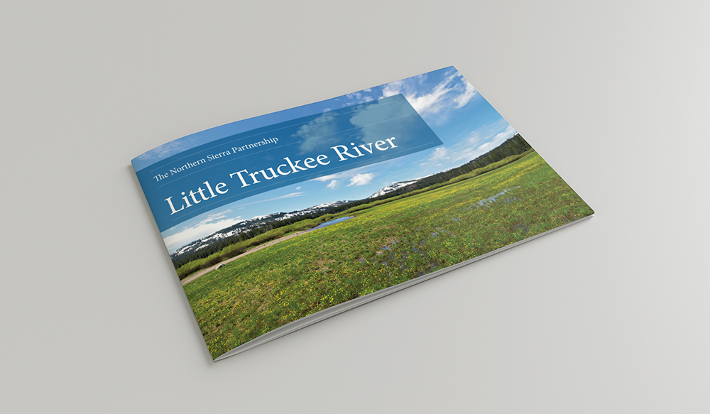 ewdo_nsp_ltr_brochure_cover.jpg
