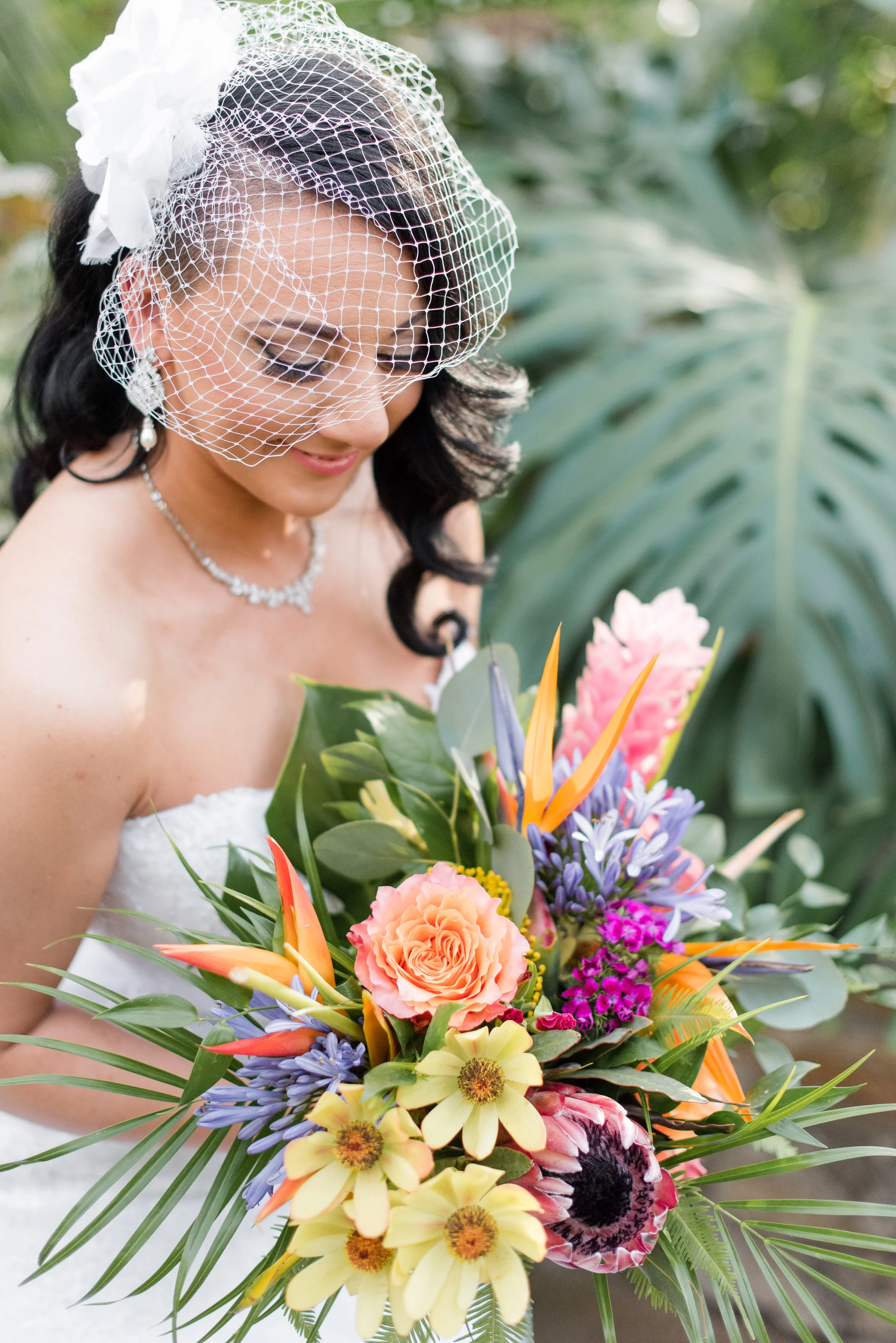 Katie Lindgren Photography
