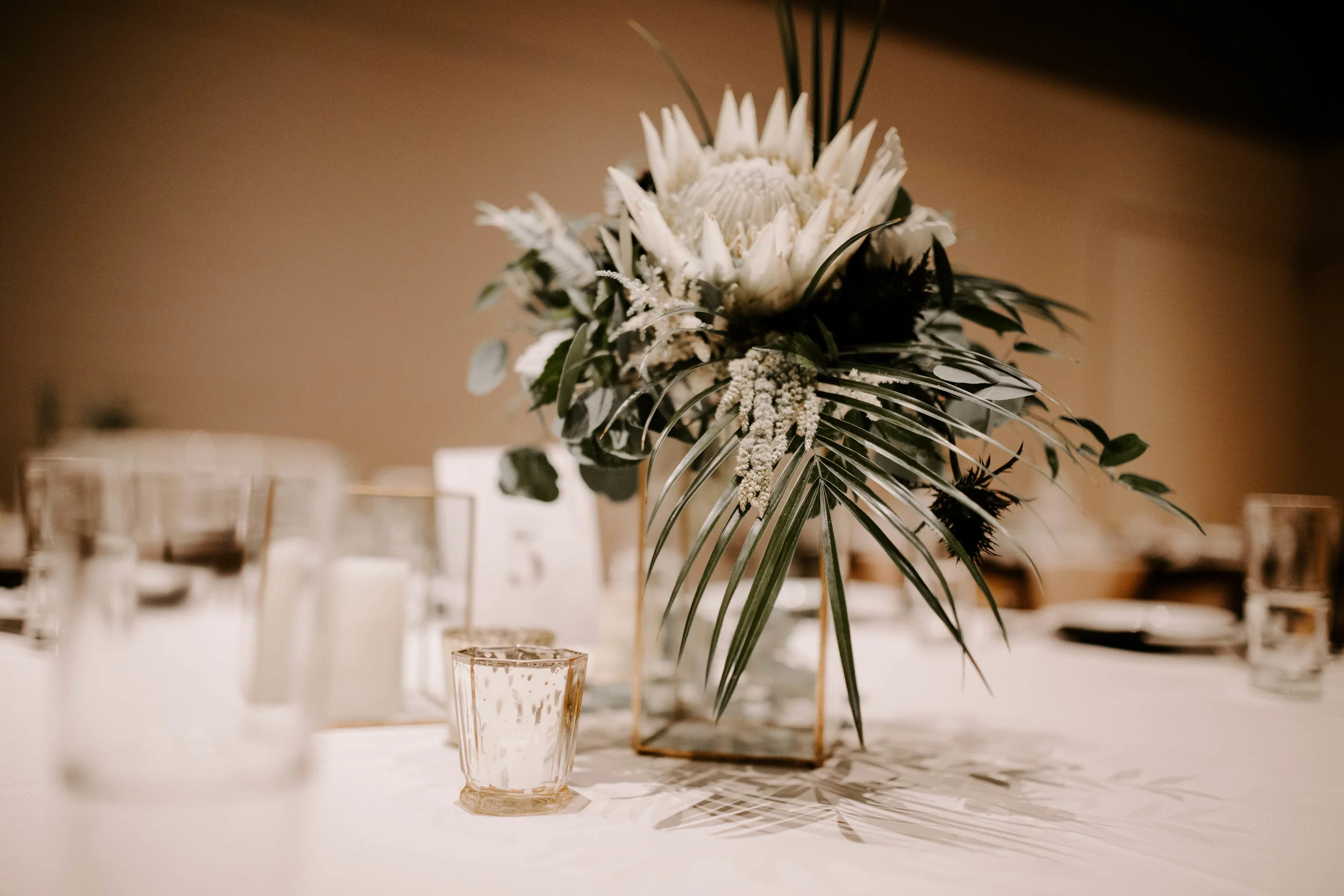 Kiley Vander Maten Photography