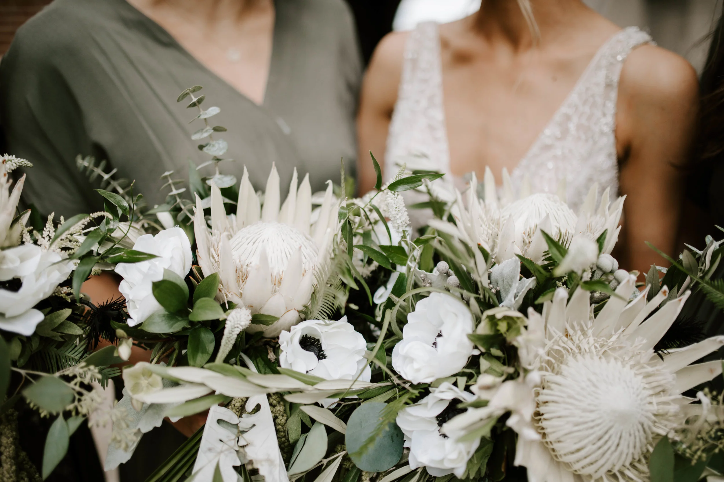 Kiley Vander Maten Photography