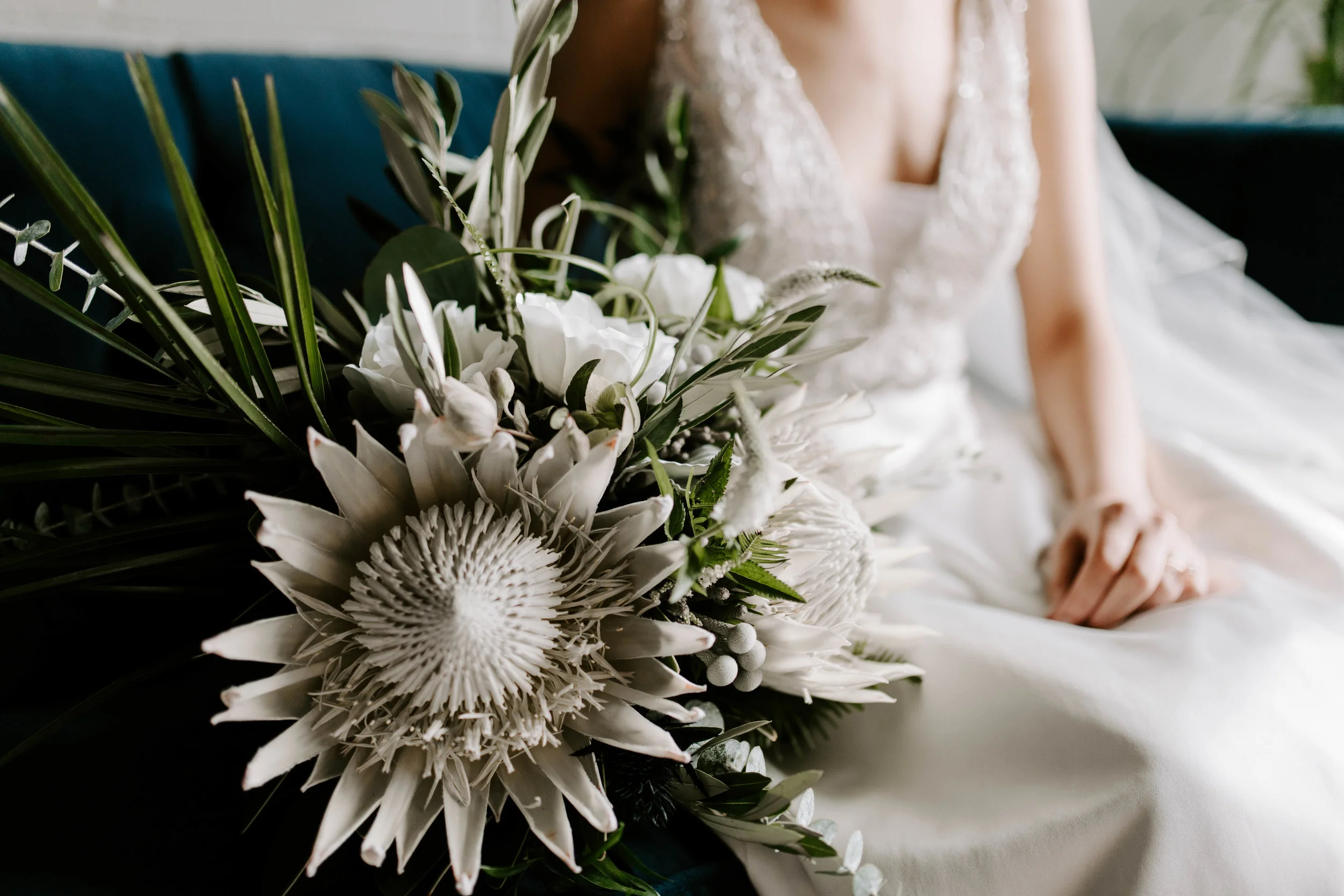 Kiley Vander Maten Photography