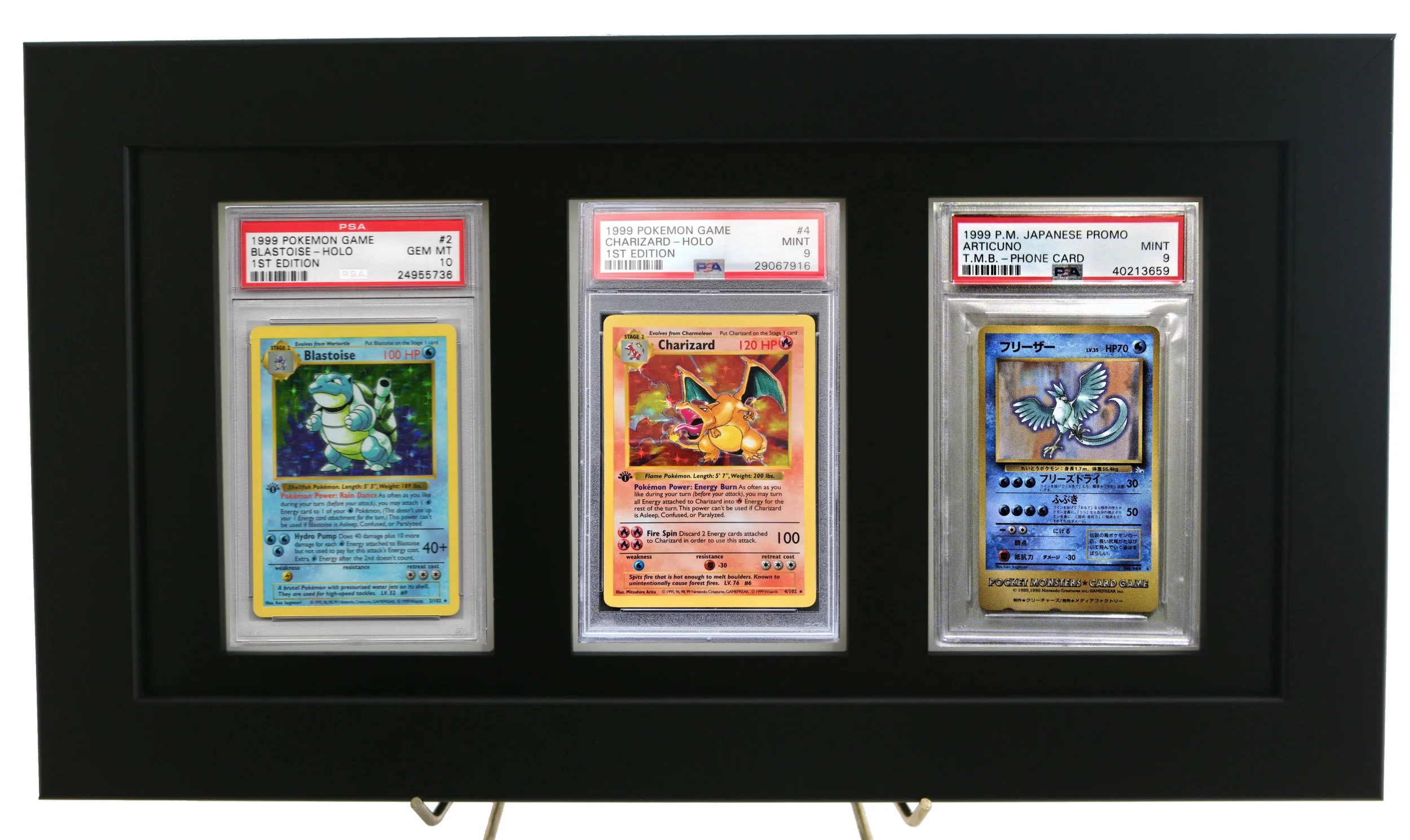 IMG_9557 (2) new pokemon 1 background.jpg