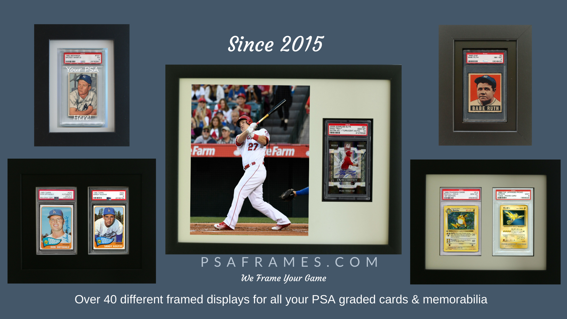 NEW-8x10 size Framed Display for a PSA Graded Horizontal Card 