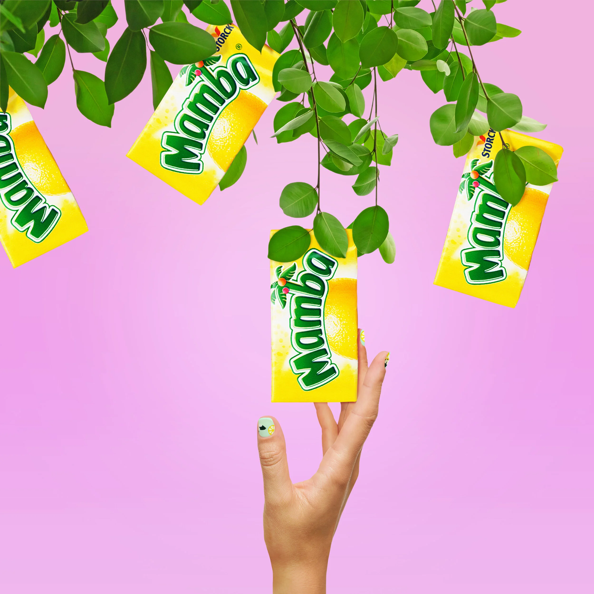 Mamba_LemonTree.jpg
