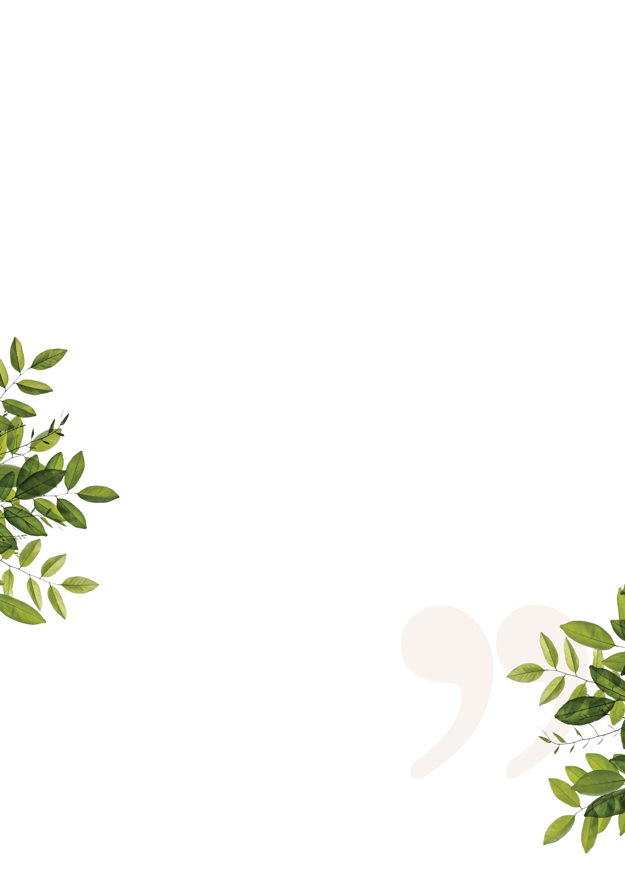 About-background4.jpg